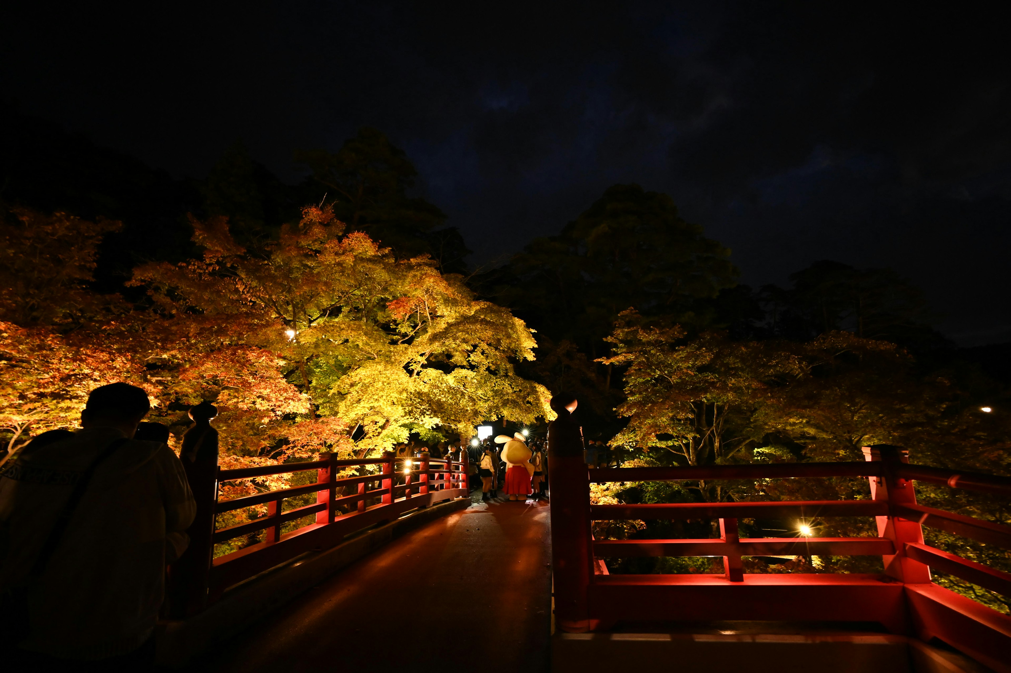 Una hermosa escena de un puente por la noche con hojas de otoño iluminadas