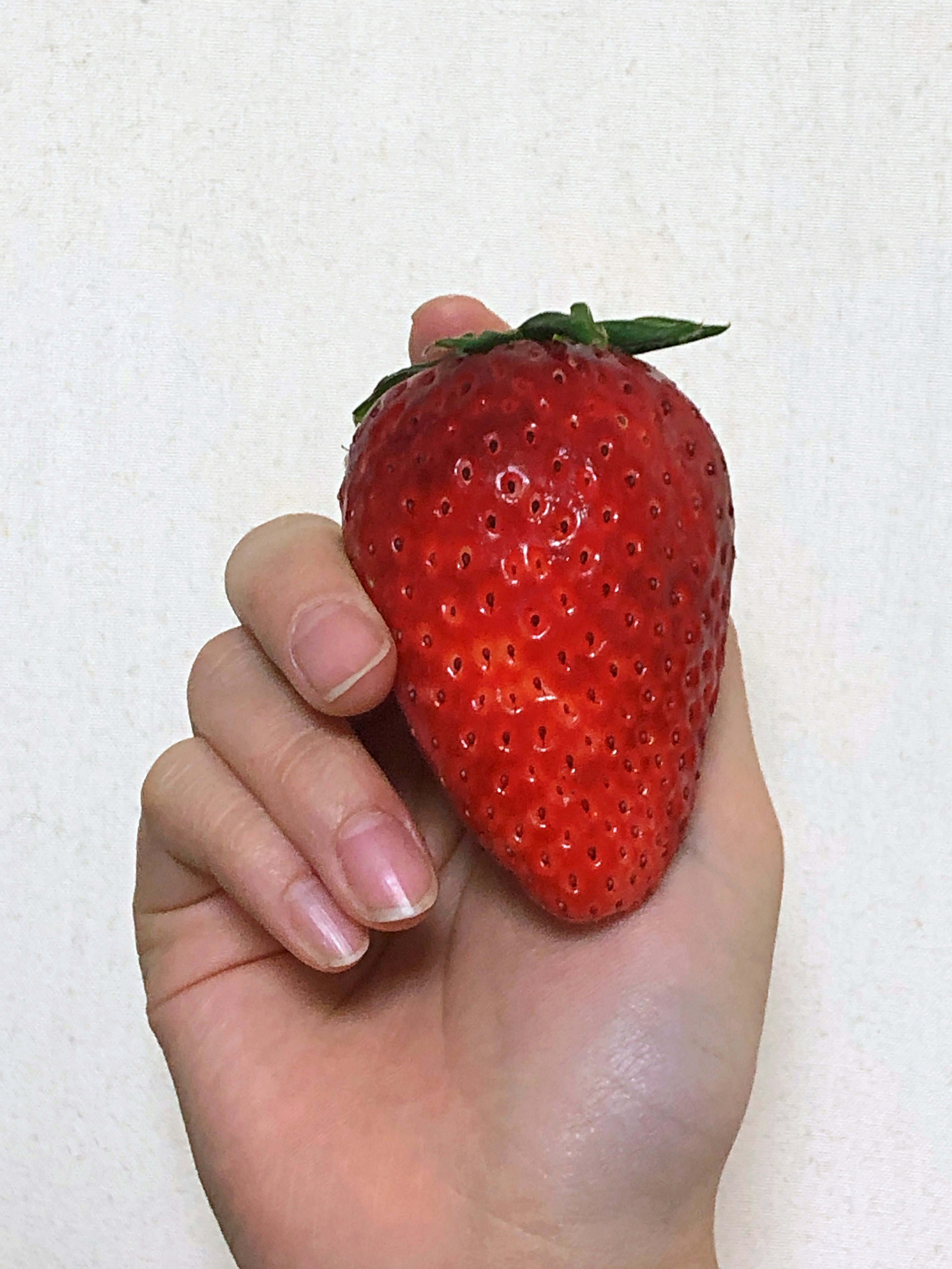 Foto di una fragola fresca tenuta in una mano