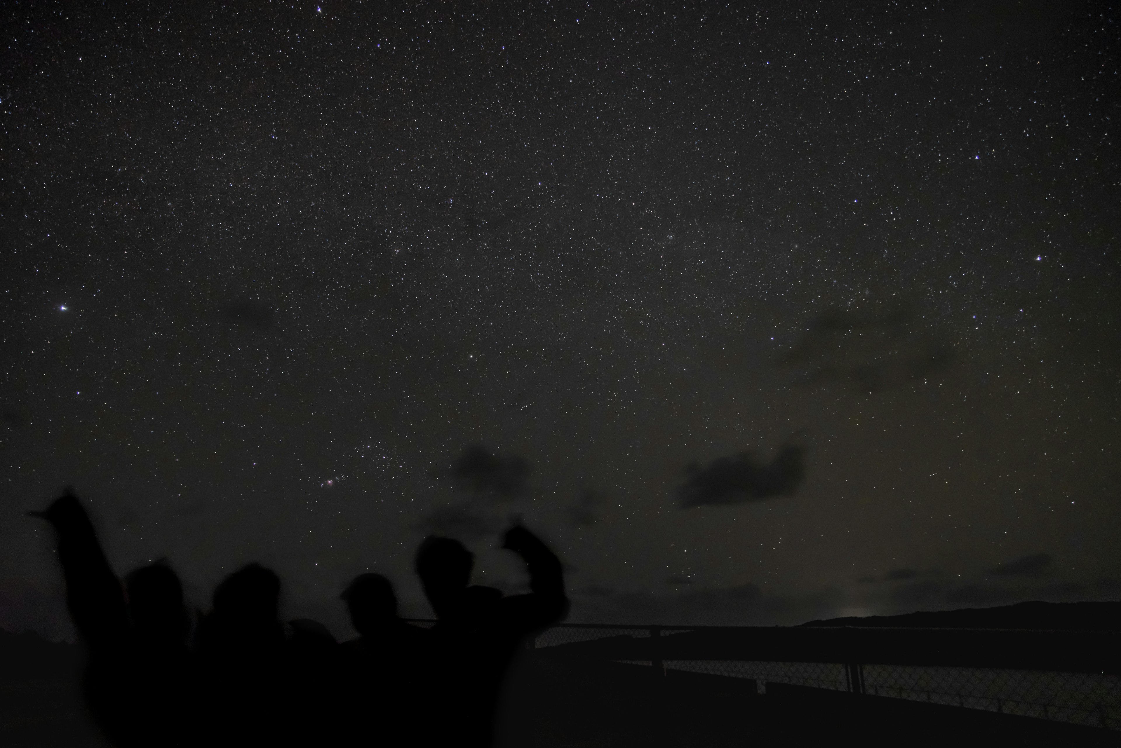 Silhouette di persone che guardano un cielo stellato con una stella cadente