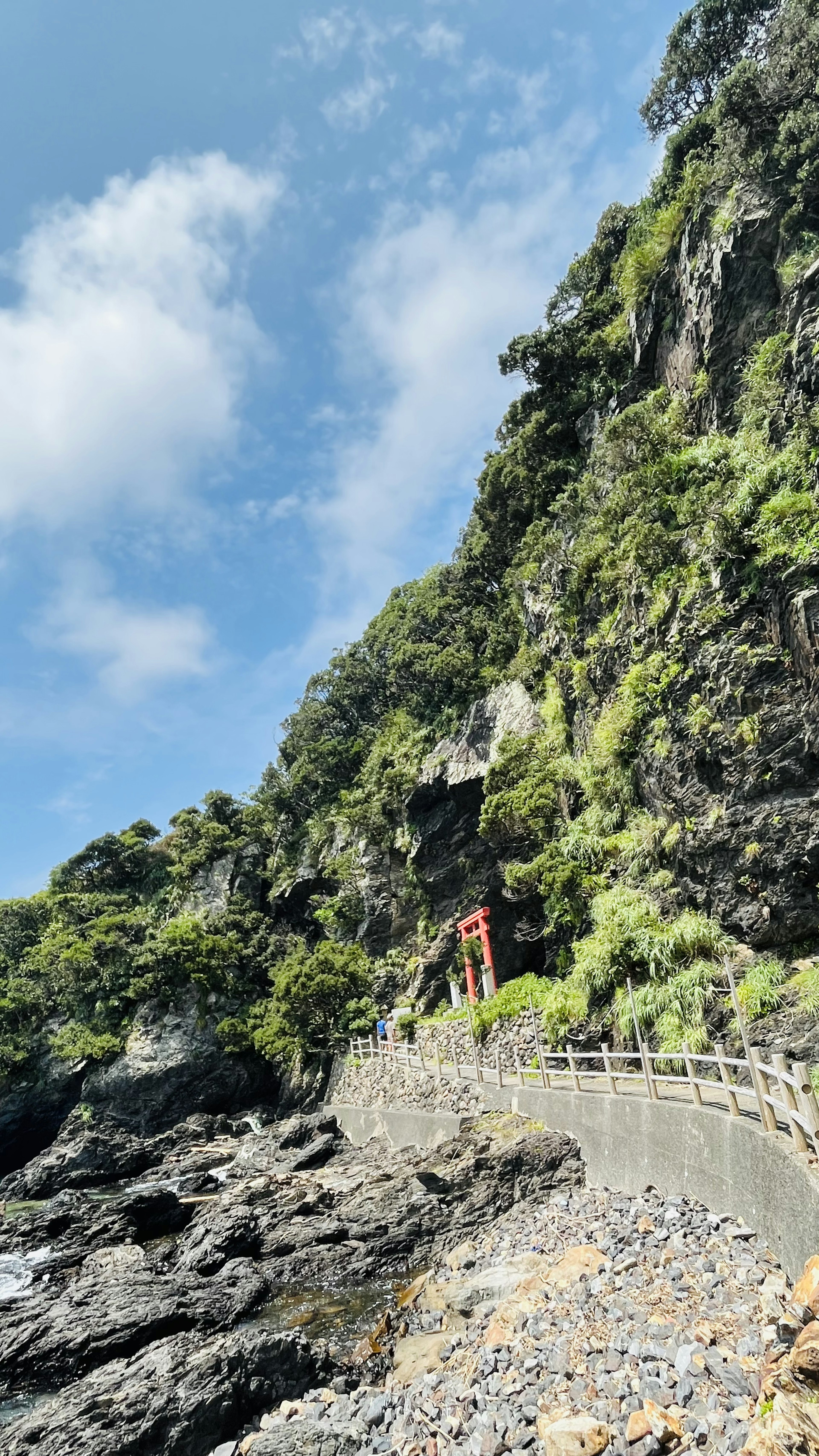 Coastal path with lush cliffs and clear blue sky