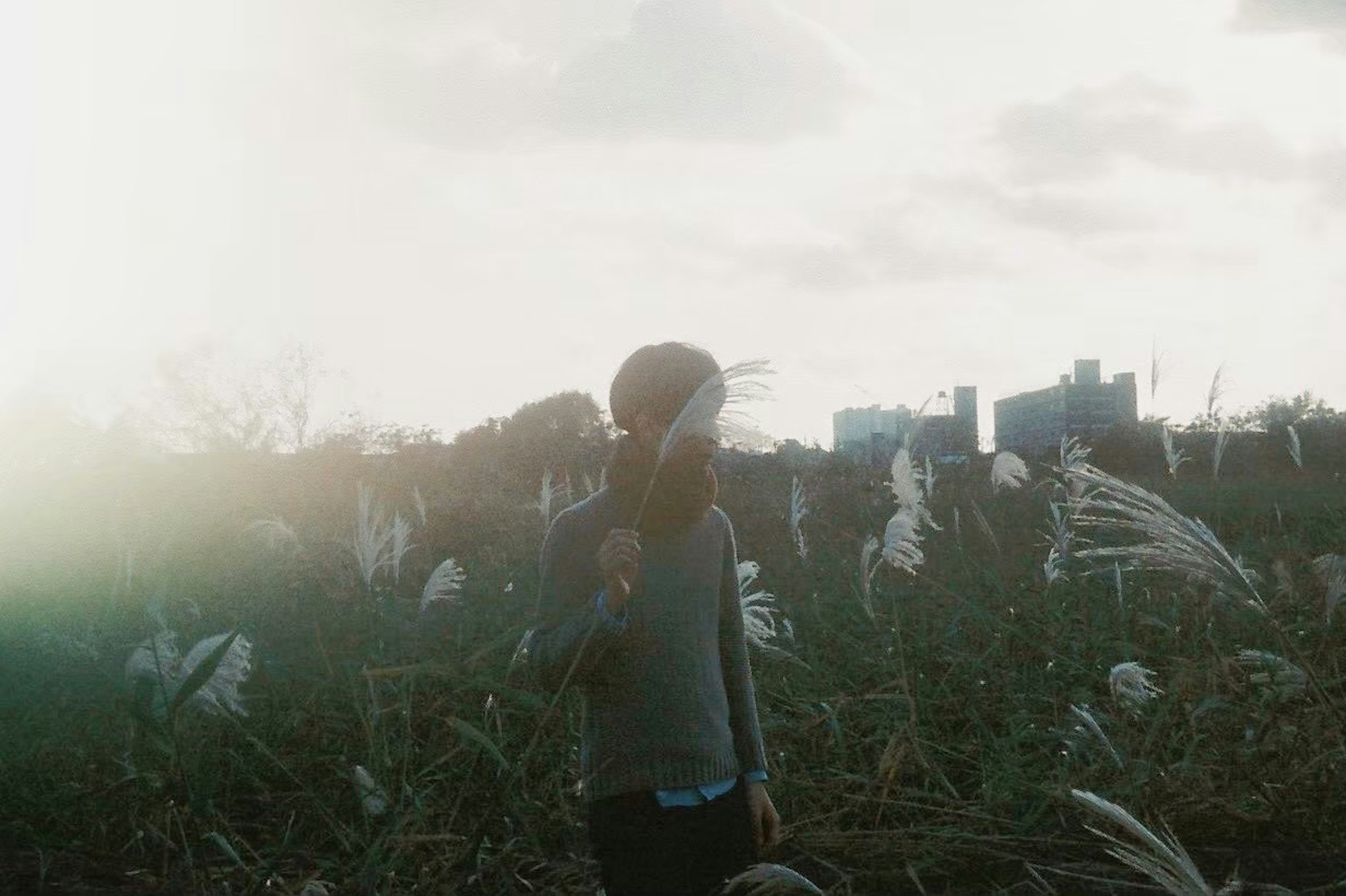 Person standing in a grassy field with urban skyline in the background