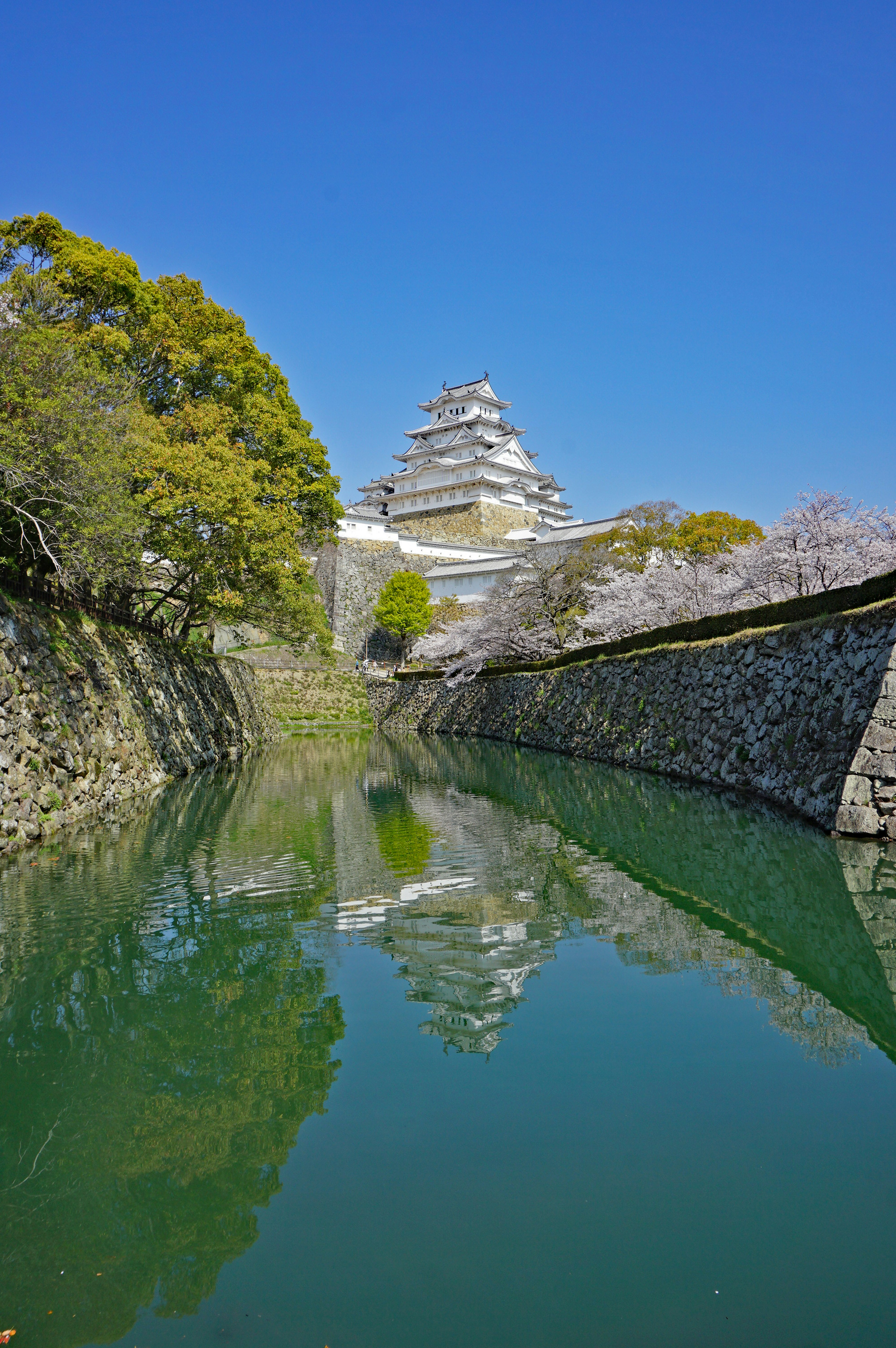 Una vista escénica de un castillo reflejado en un río tranquilo bajo un cielo azul claro