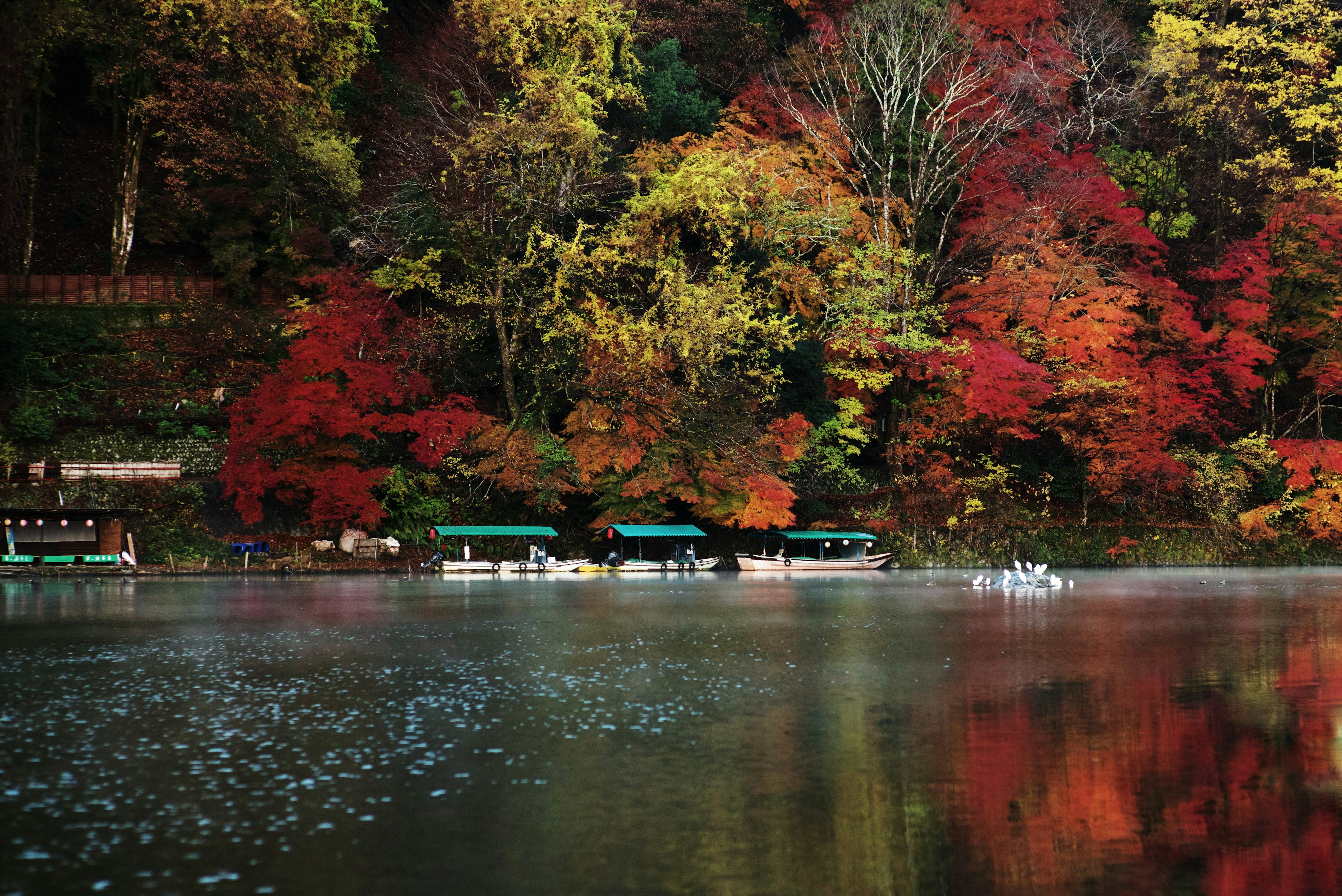 Malersicher Blick auf lebendige Herbstblätter, die sich auf einem ruhigen See mit Booten spiegeln