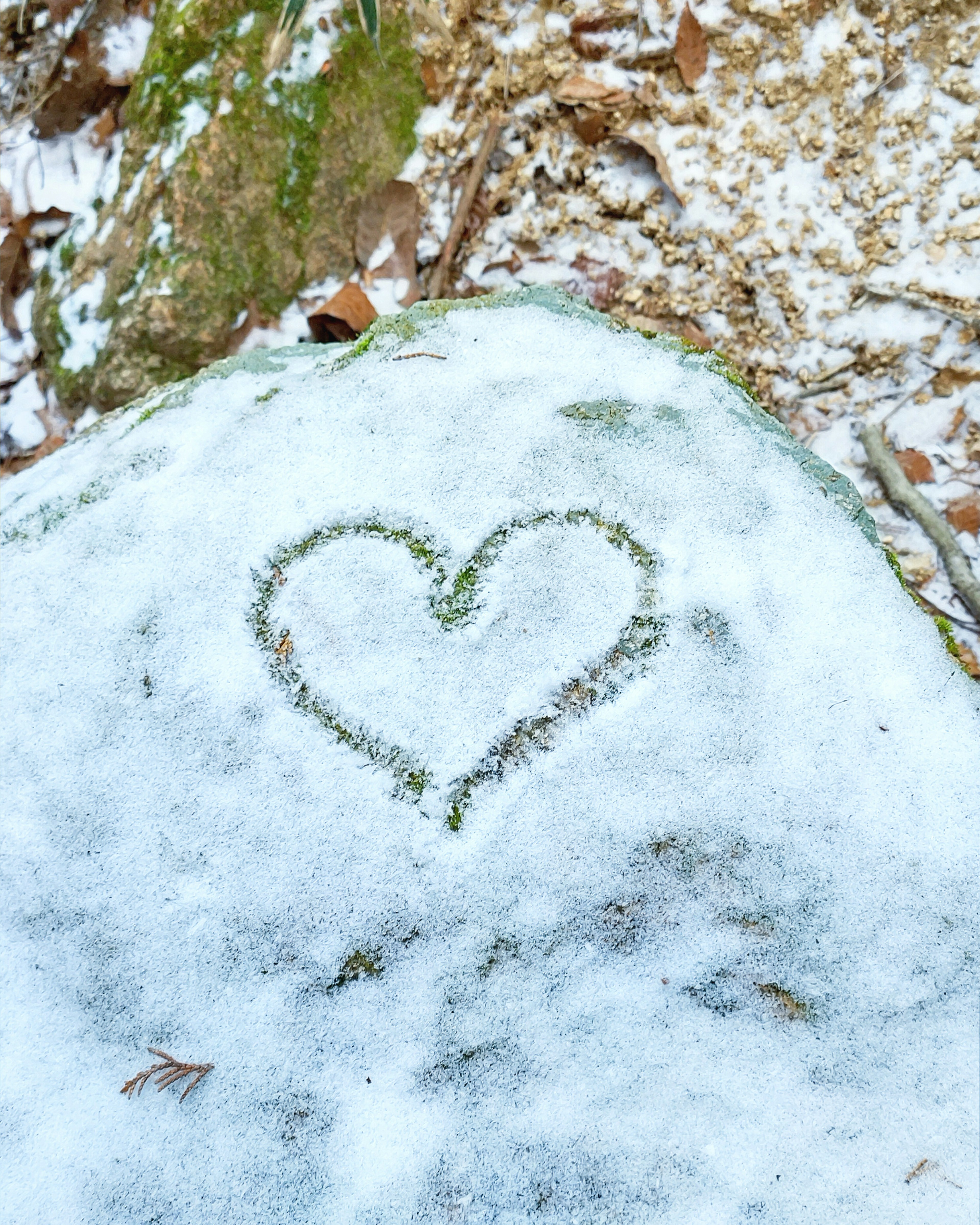 雪の上に描かれたハートの形が印象的な岩の画像