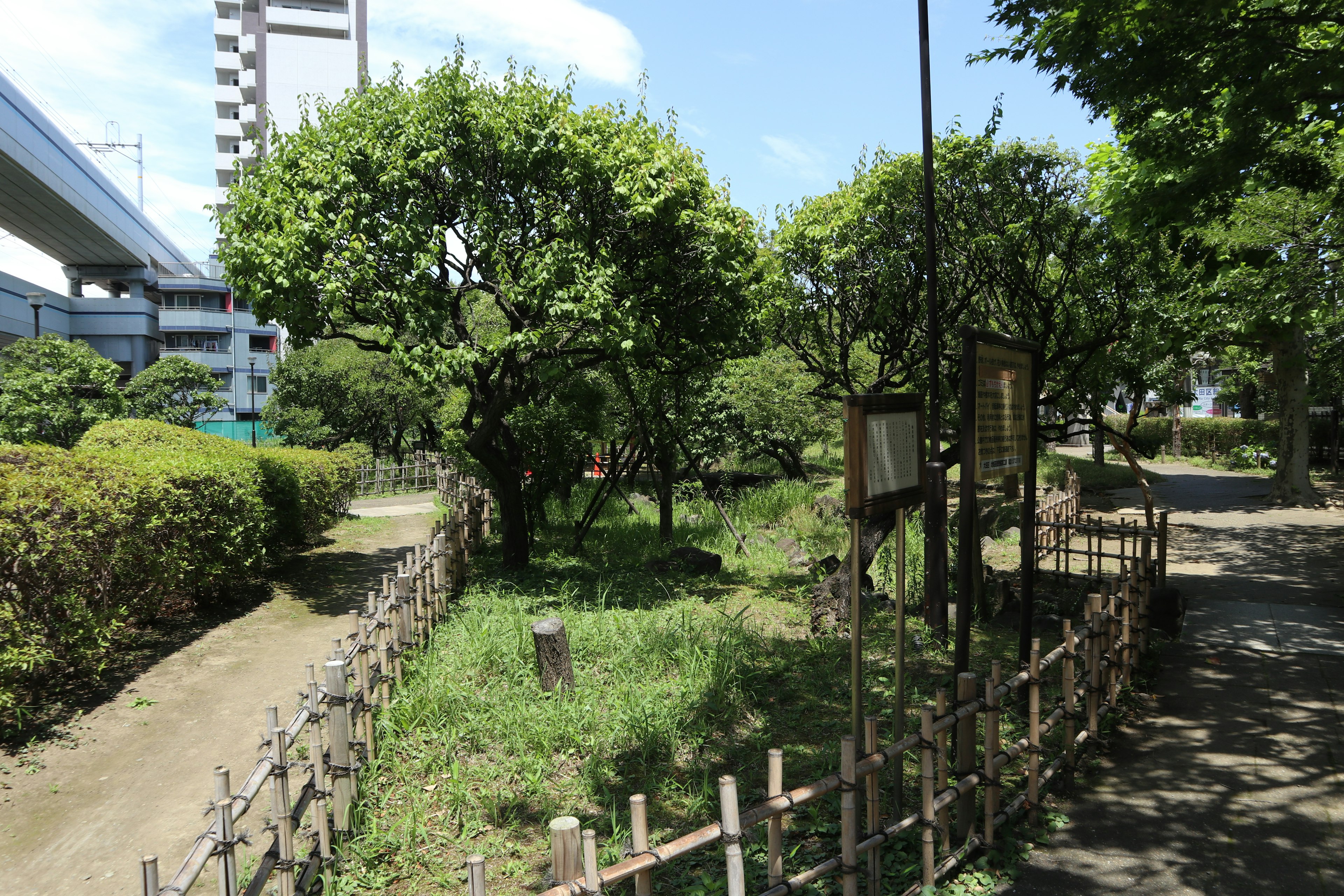 緑豊かな公園の景色と竹のフェンス