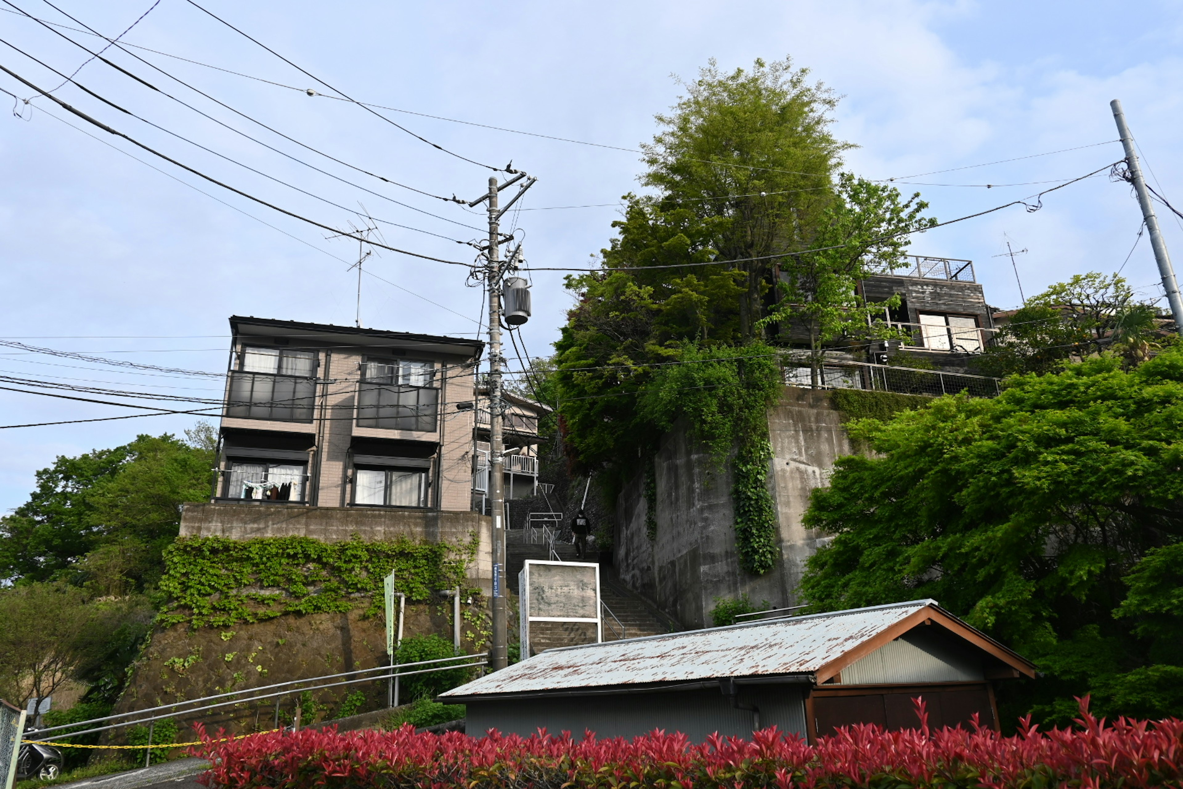 緑に囲まれた古い建物と電線が見える風景