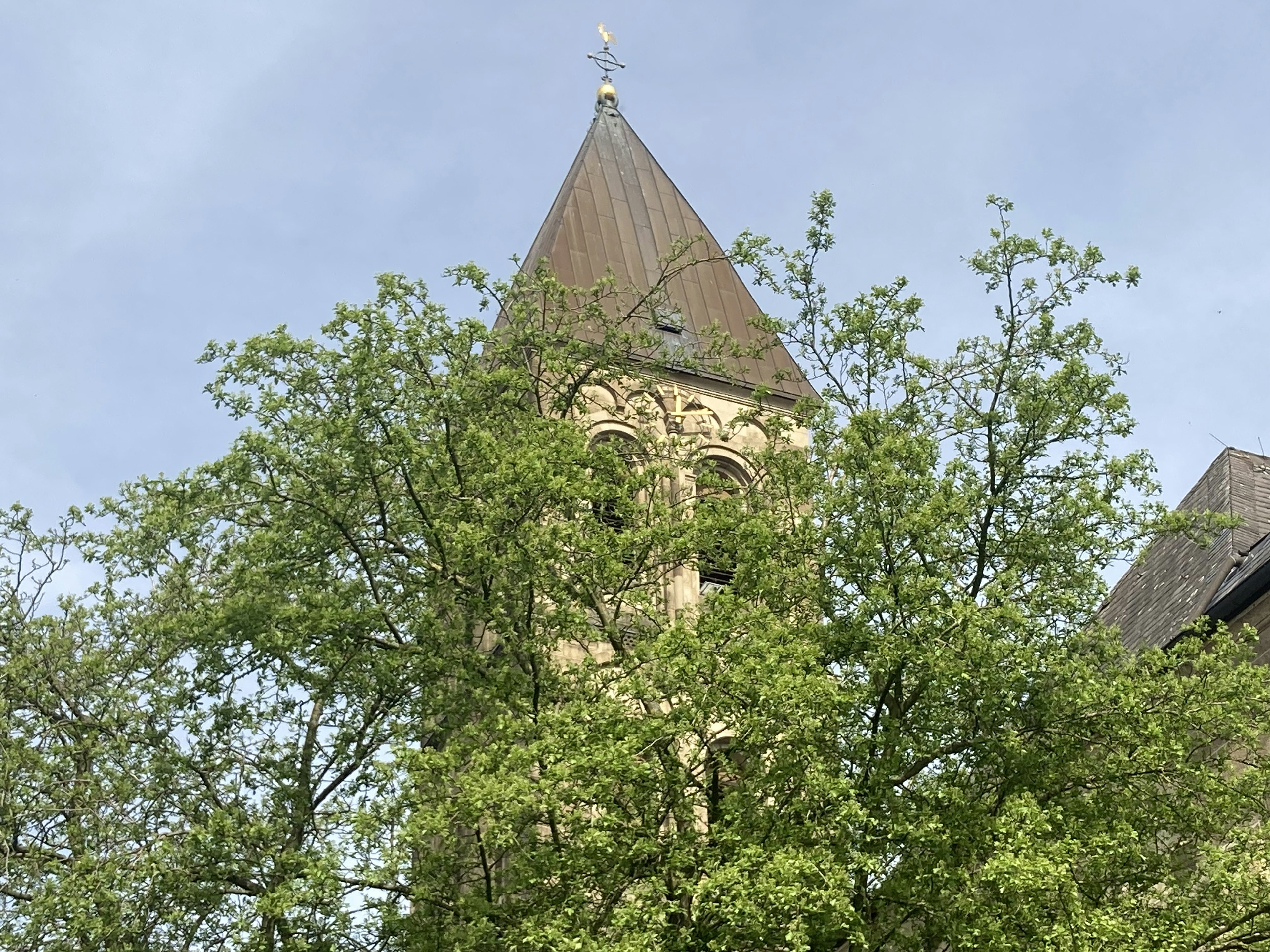 Bâtiment historique avec une tour visible à travers les arbres