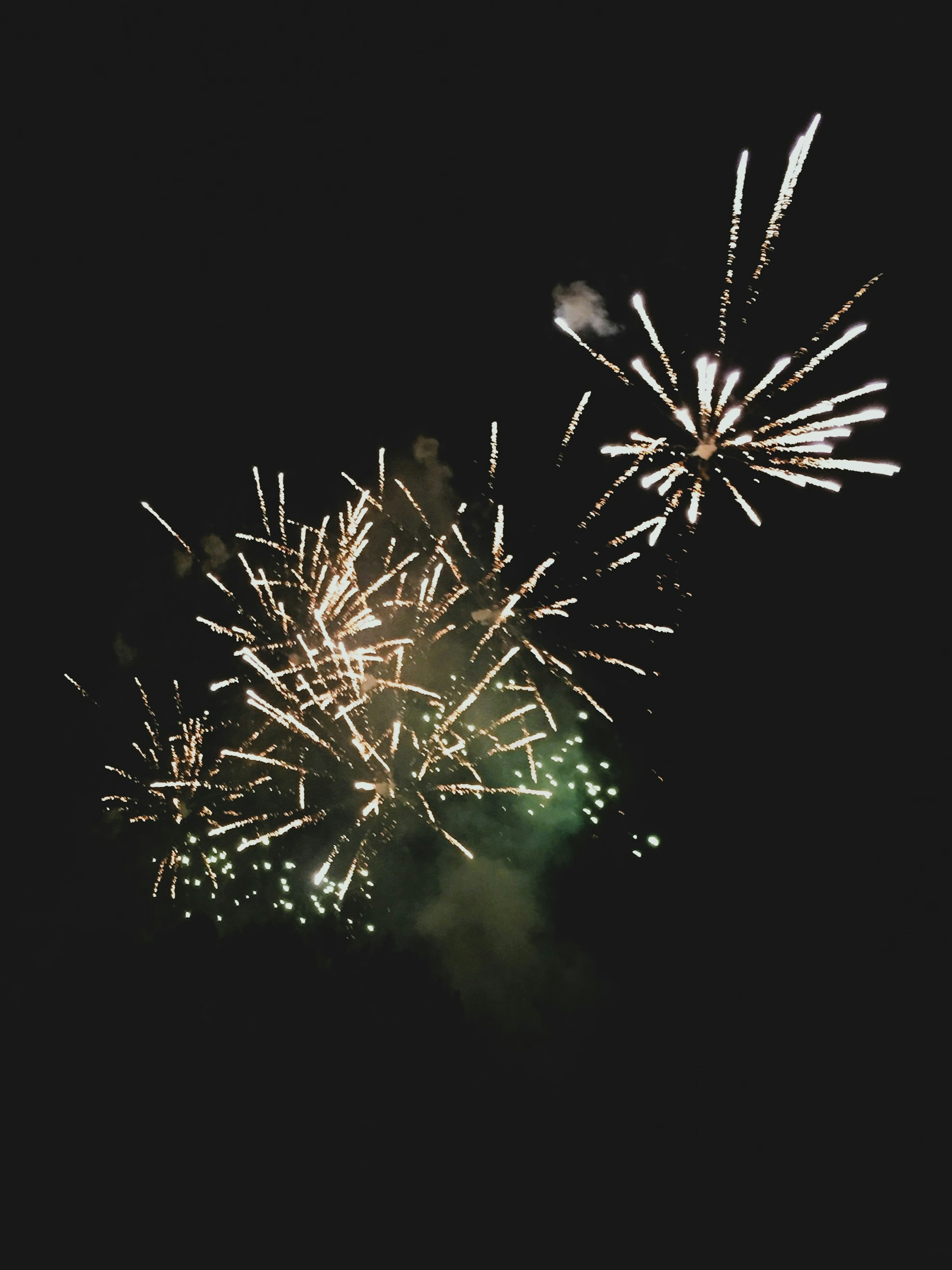 Beautiful lights and colors of fireworks in the night sky