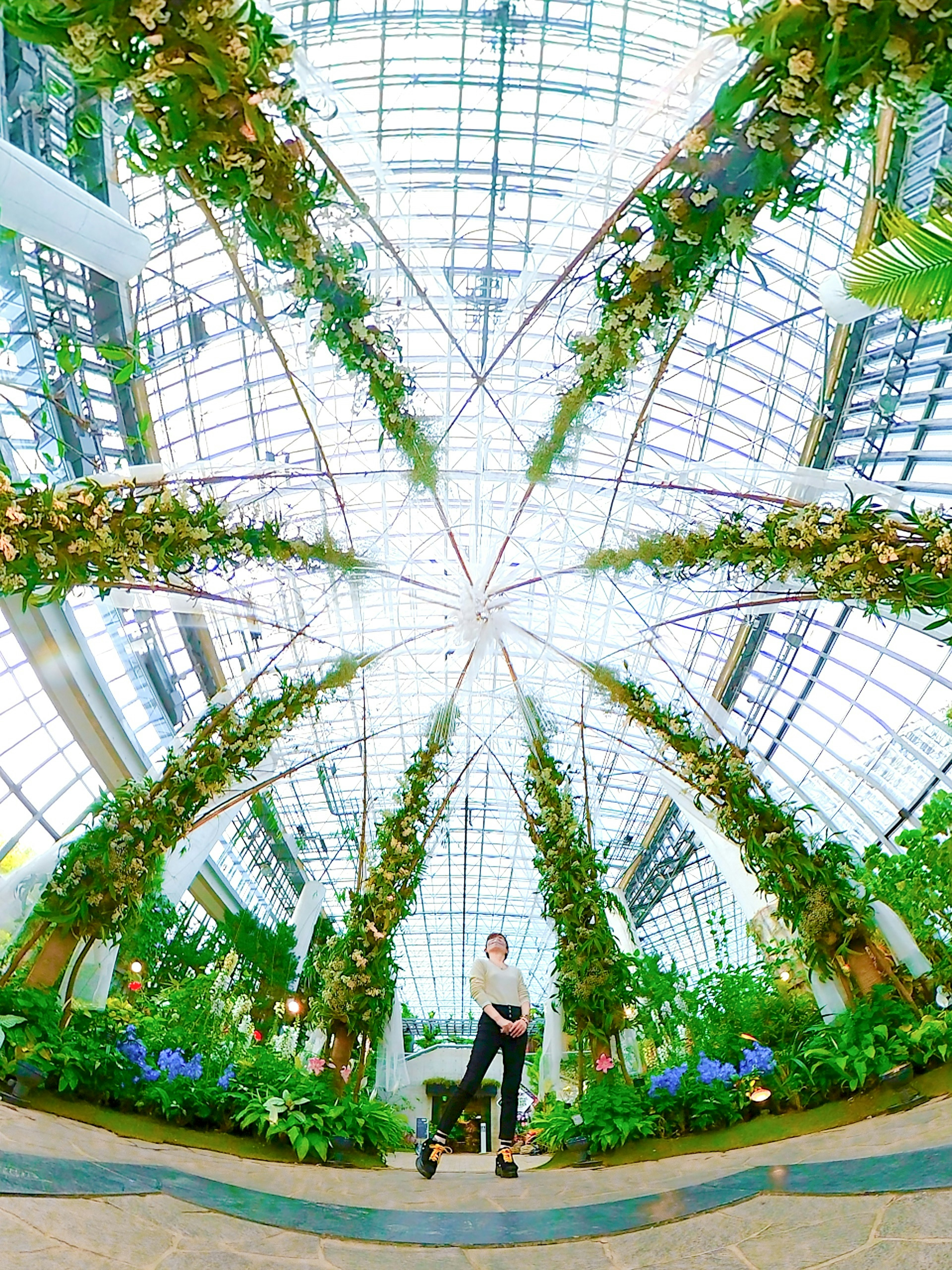 Arches verdoyants de plantes sous un toit en verre avec une personne au centre