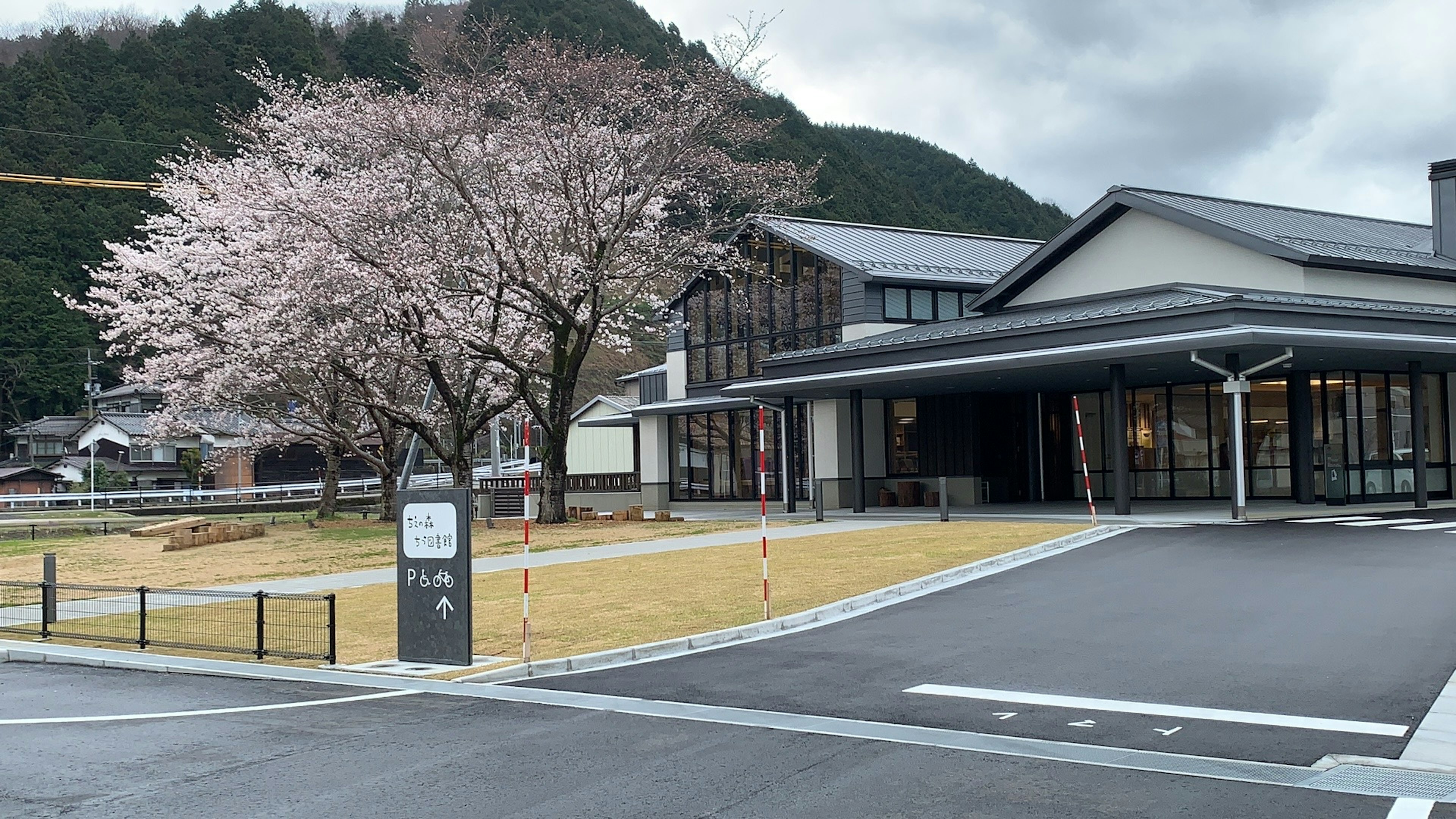 桜の木がある現代的な建物の外観