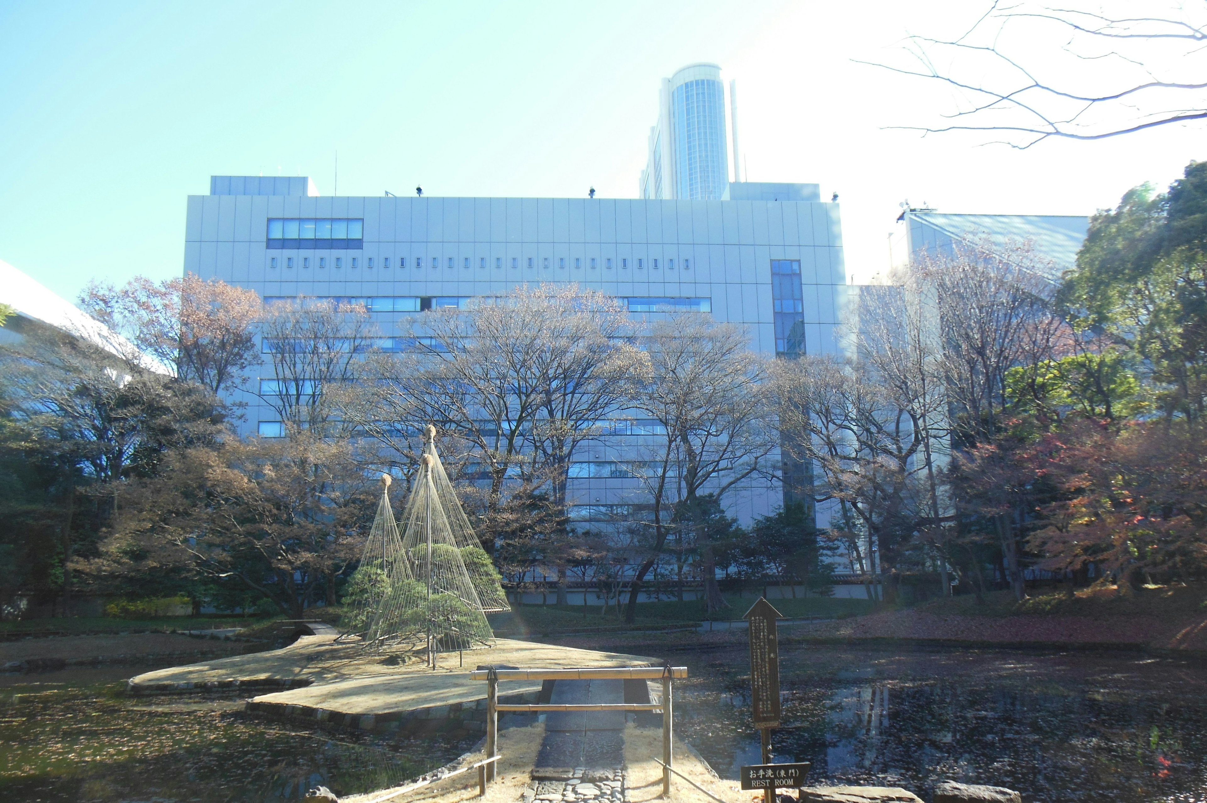 Vista de un estanque del parque con edificios al fondo