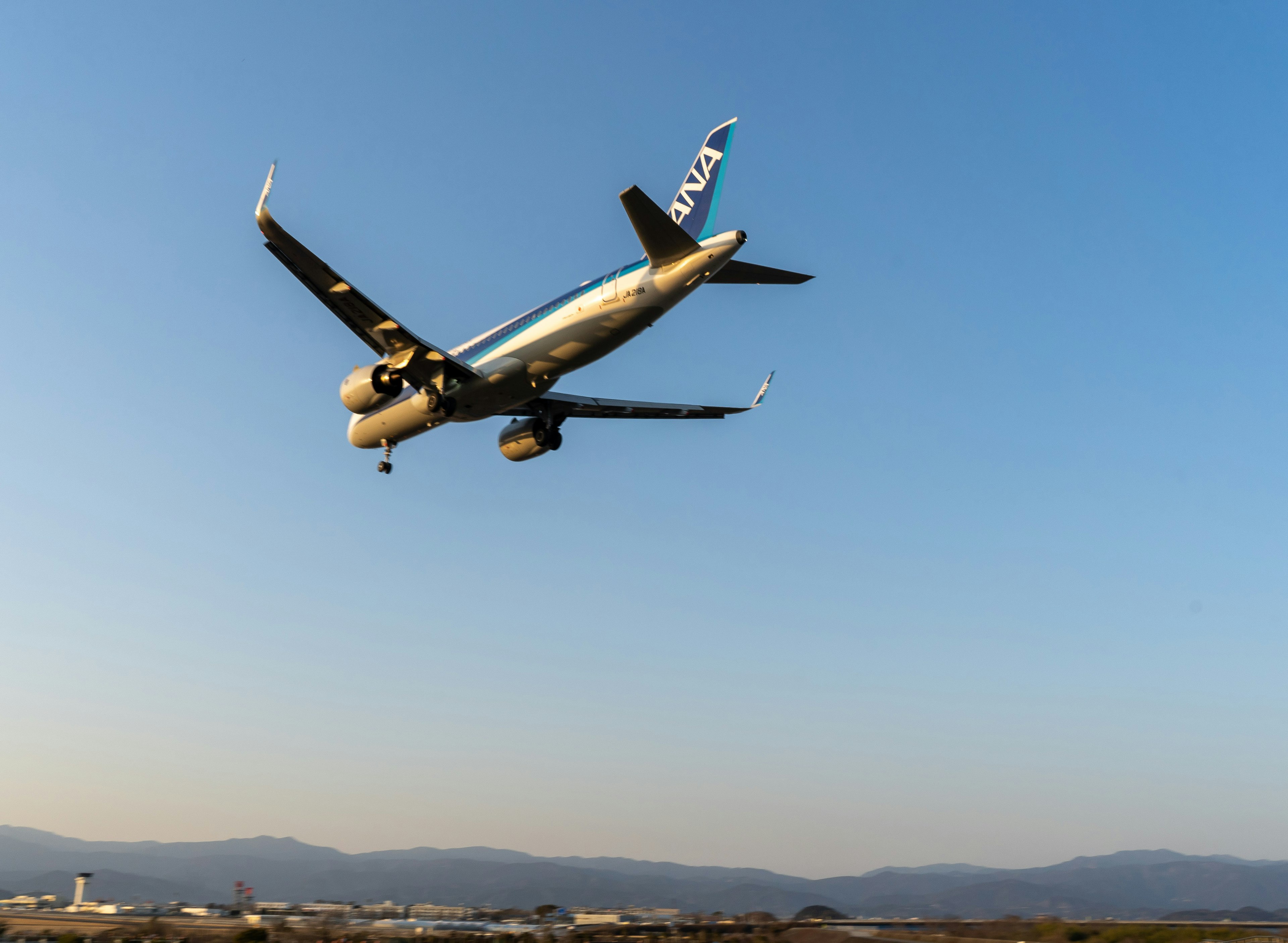 青空を背景に飛行機が着陸態勢に入っている