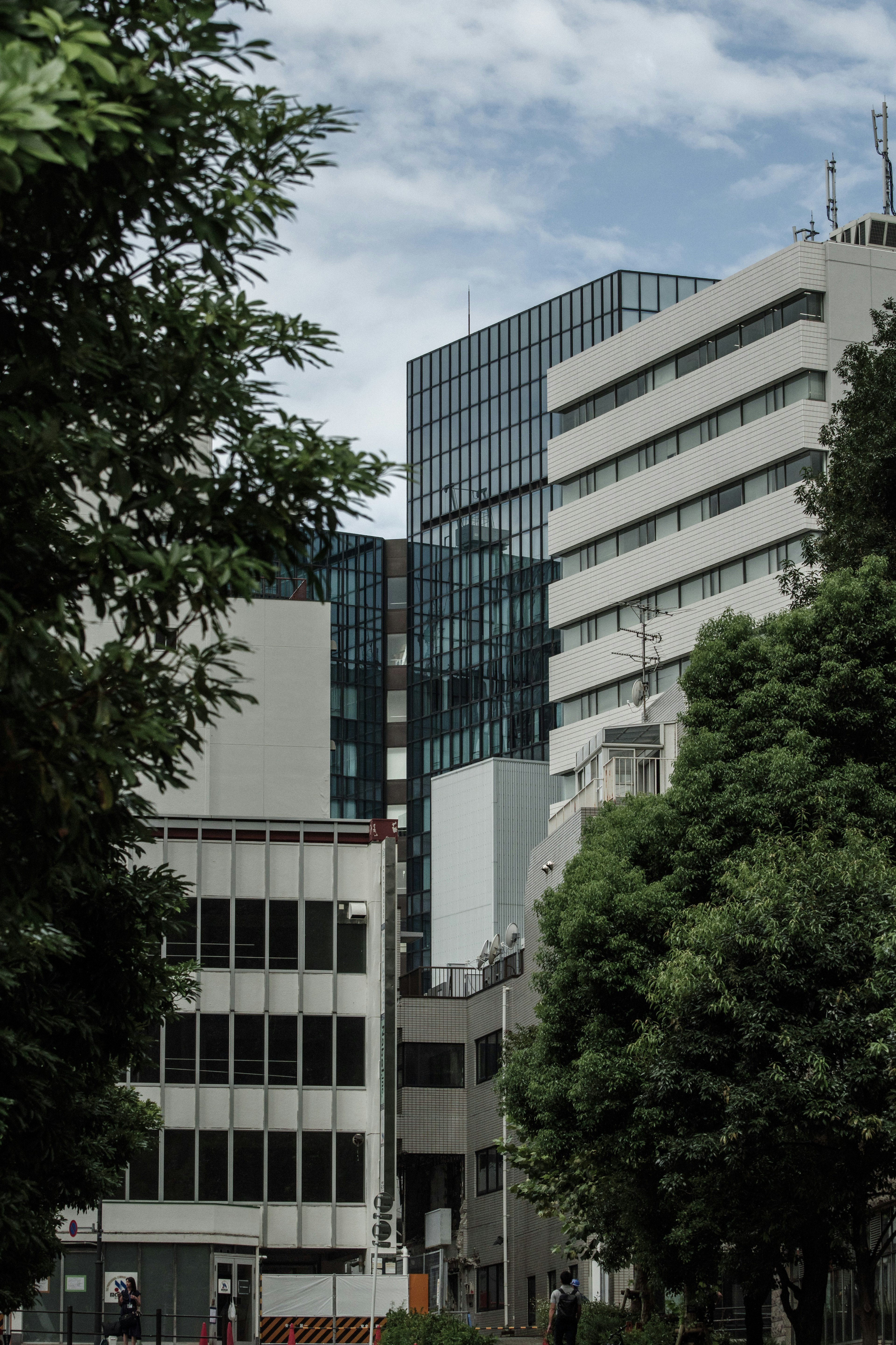 多様な建物が立ち並ぶ都市の風景 緑の木々と青空が見える