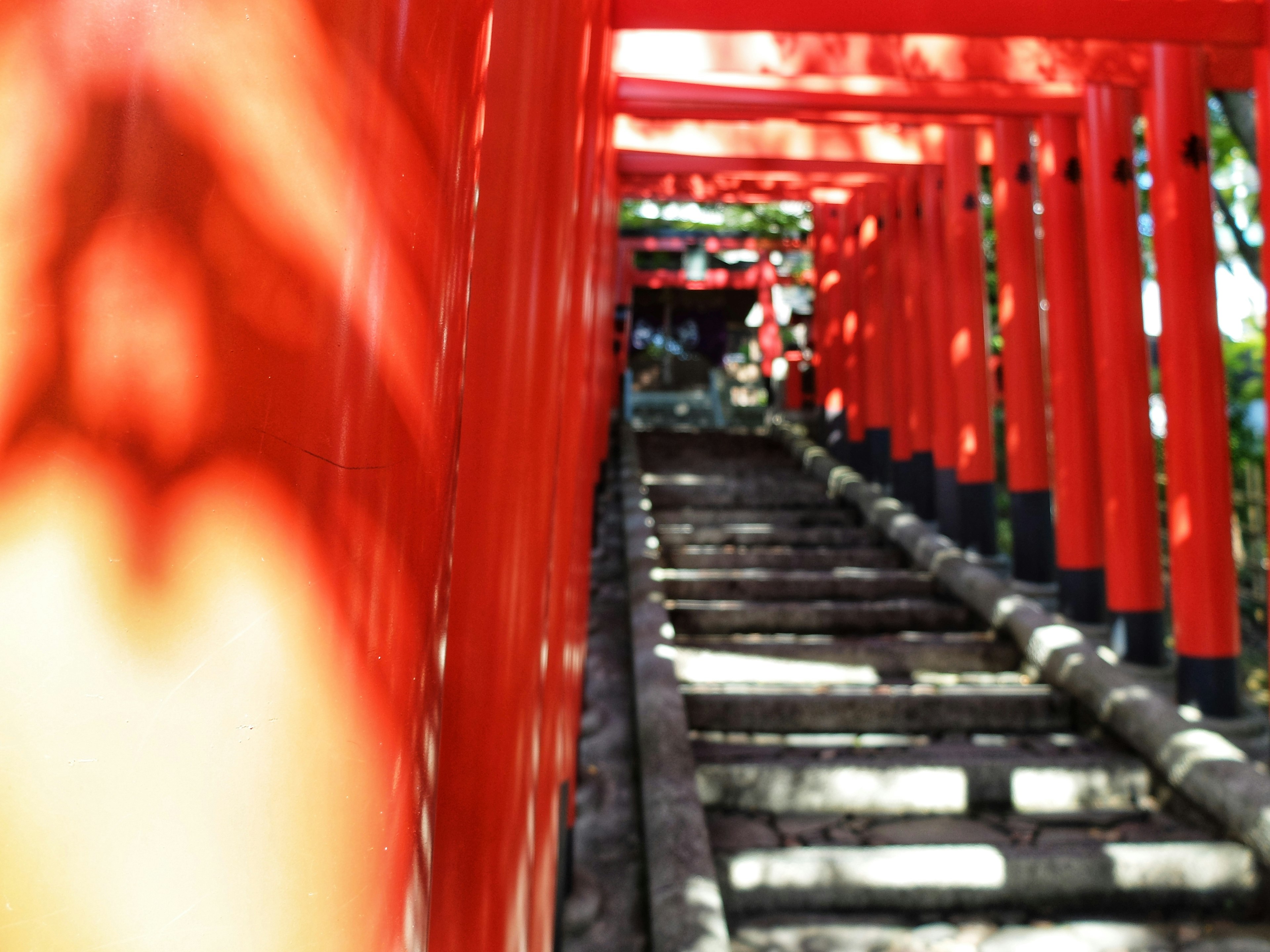 Blick auf einen Weg gesäumt von roten Torii-Toren, der zu einer Treppe führt