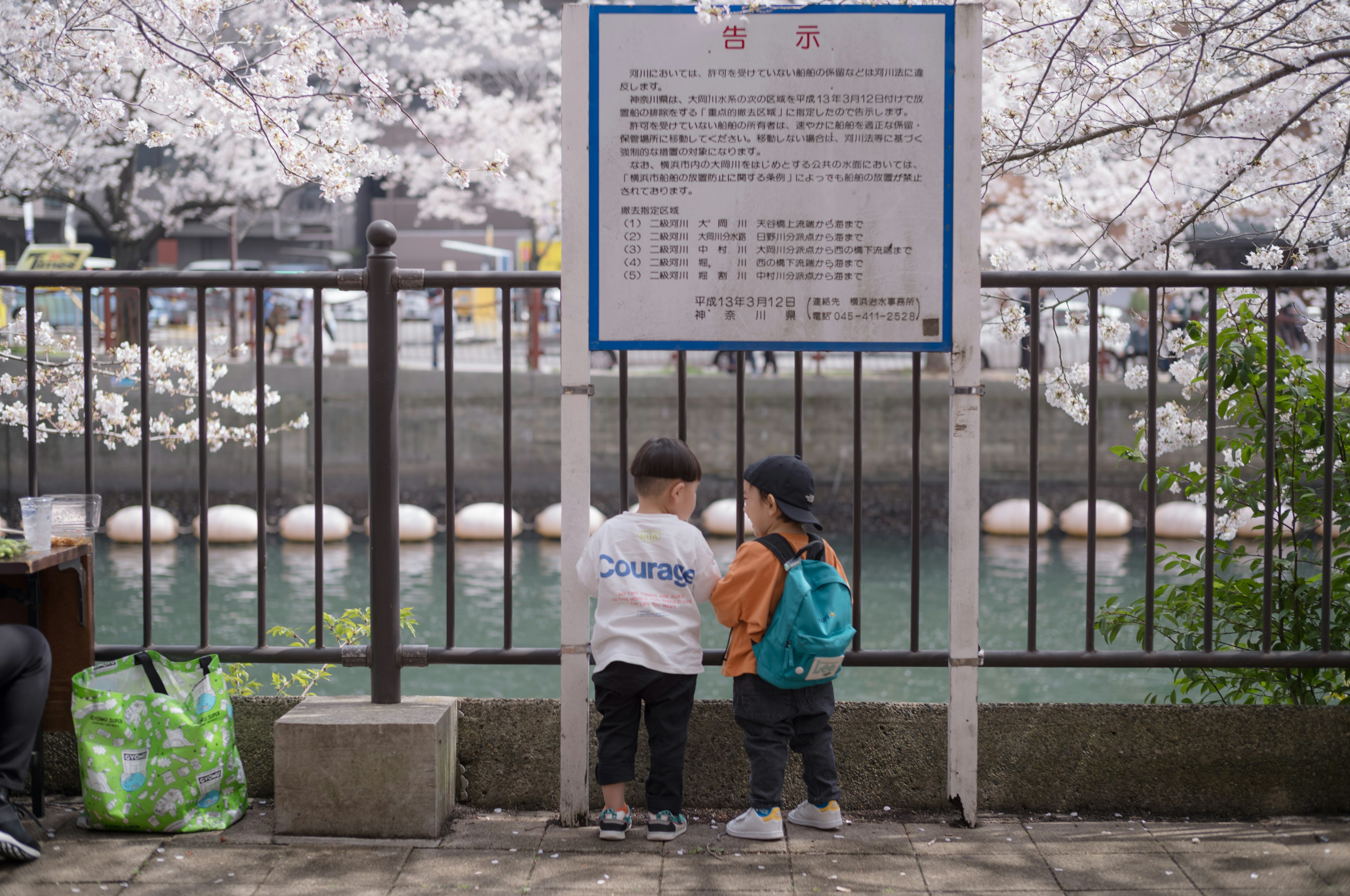 在樱花树下交谈的两个孩子和背景中的标志