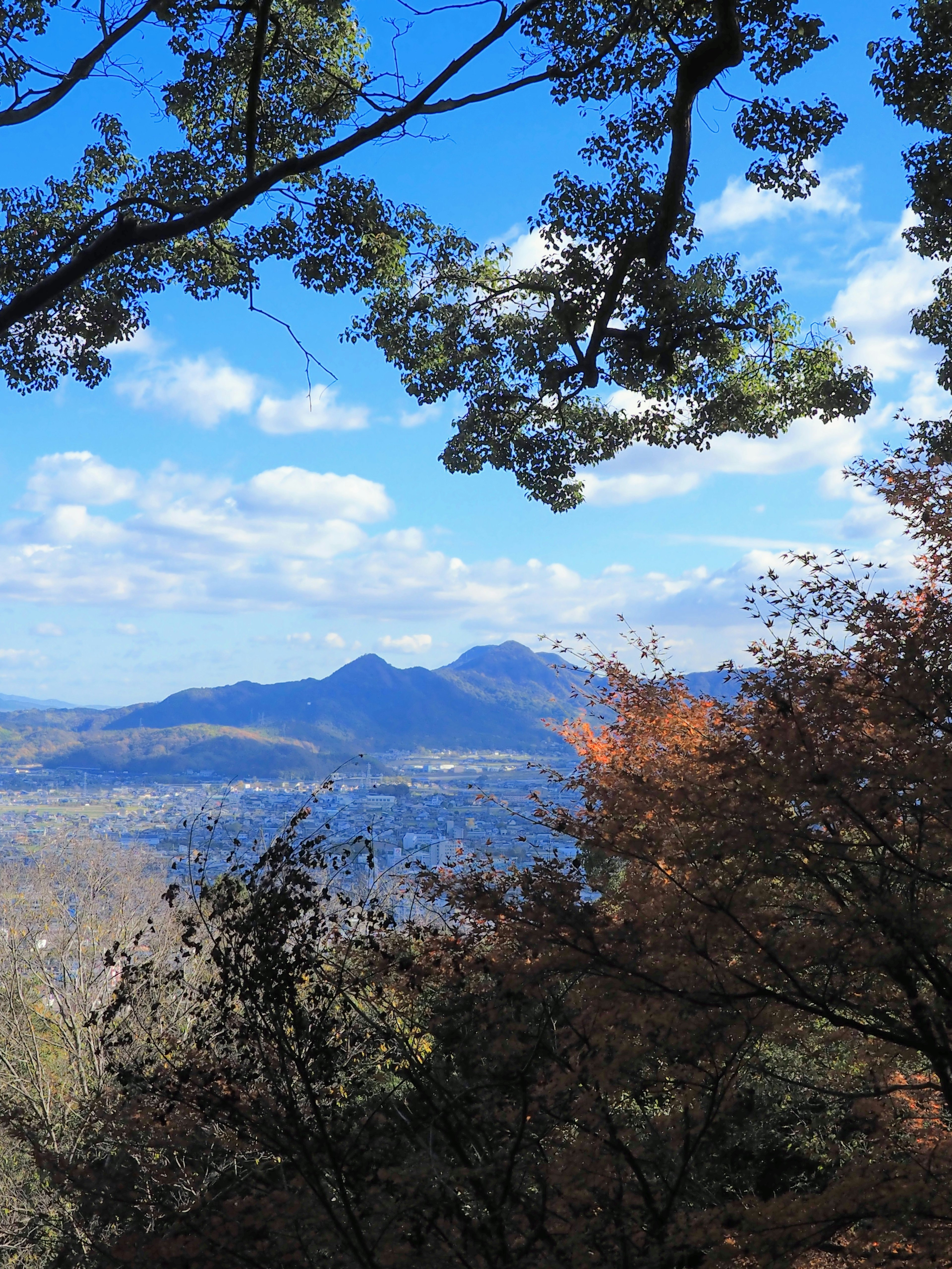 Malersicher Blick auf Berge und blauen Himmel, eingerahmt von Bäumen mit herbstlichen Farben