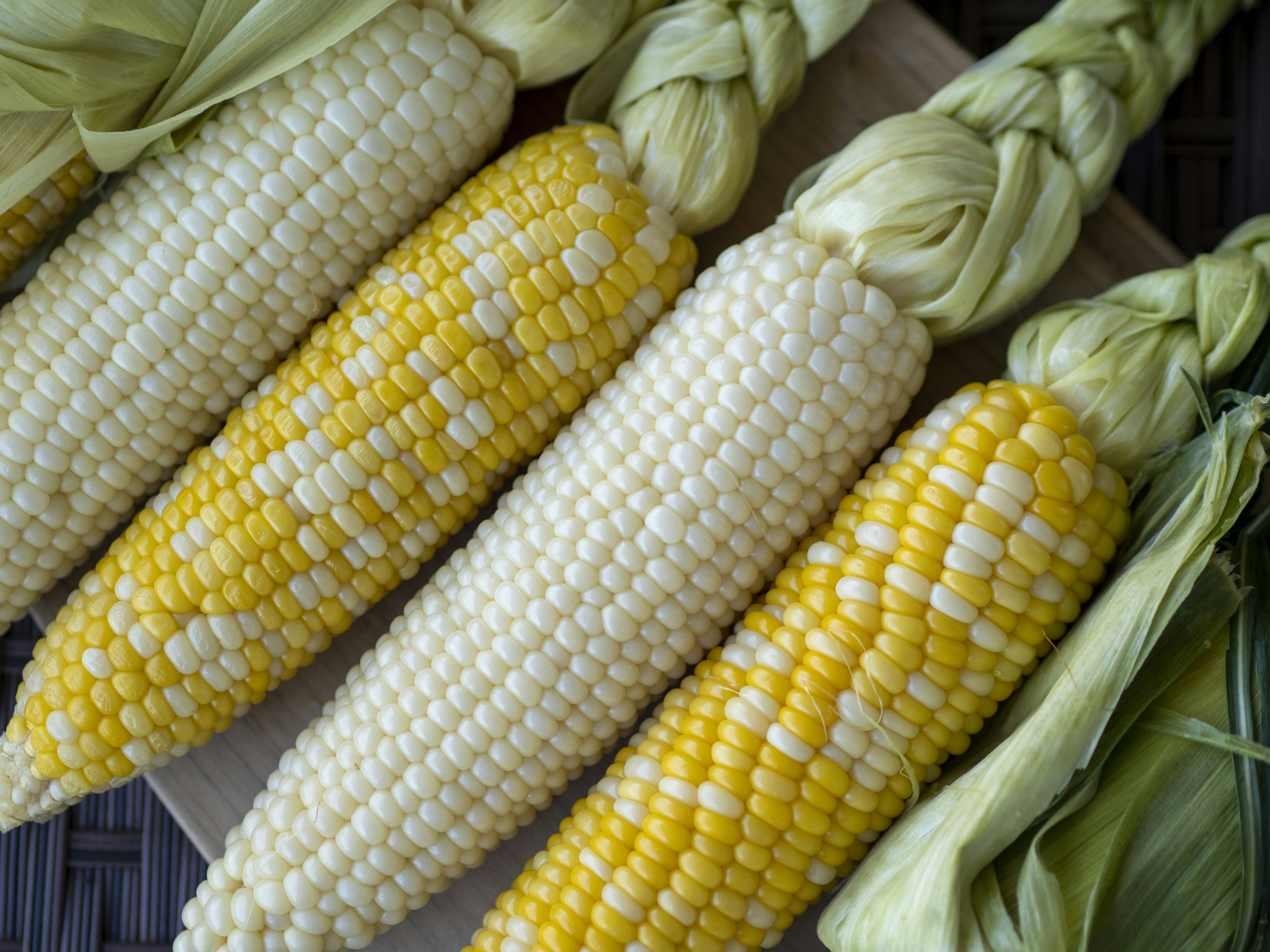 Fresh ears of corn arranged in a row featuring alternating yellow and white kernels