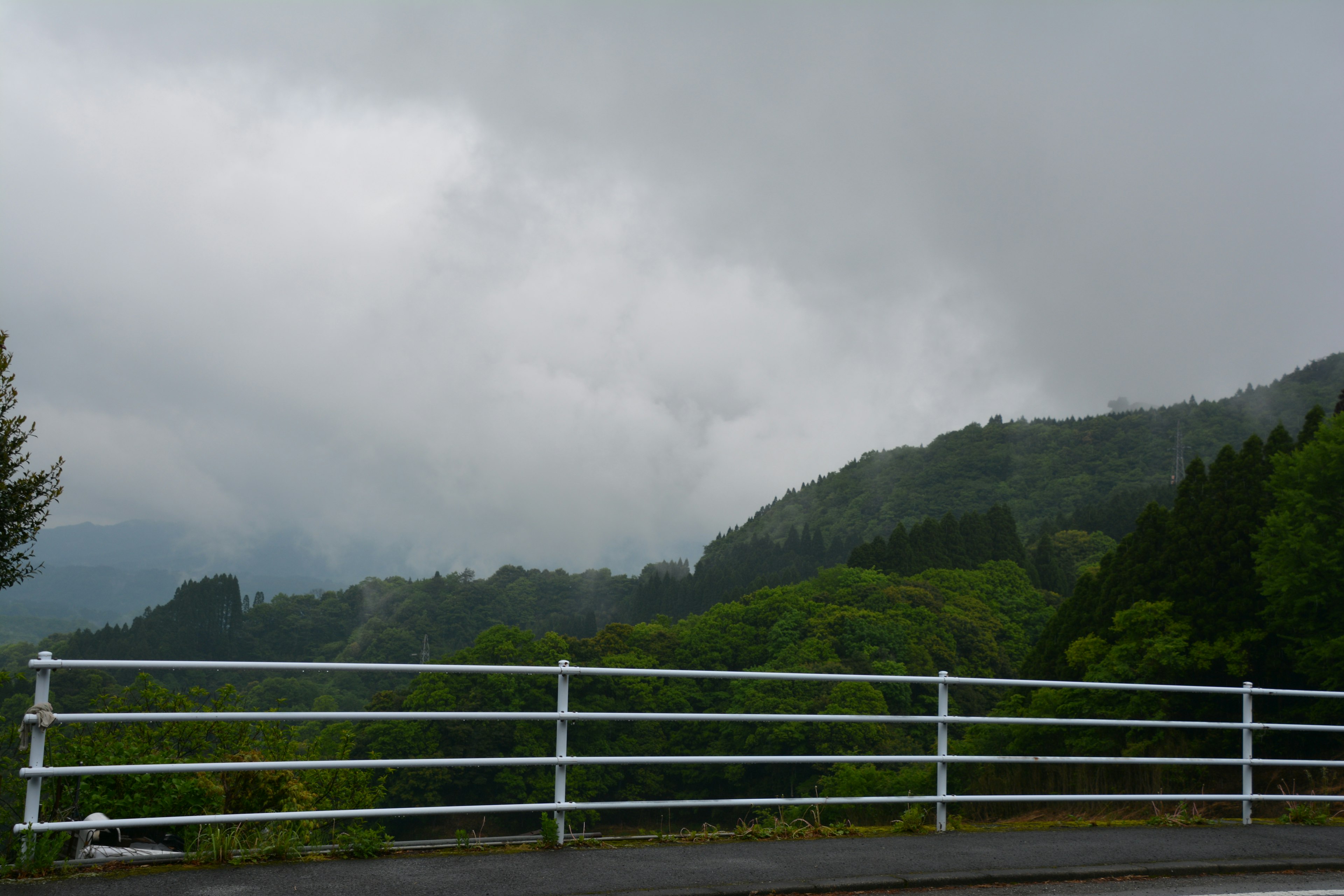 霧に包まれた山々と緑の木々が広がる風景