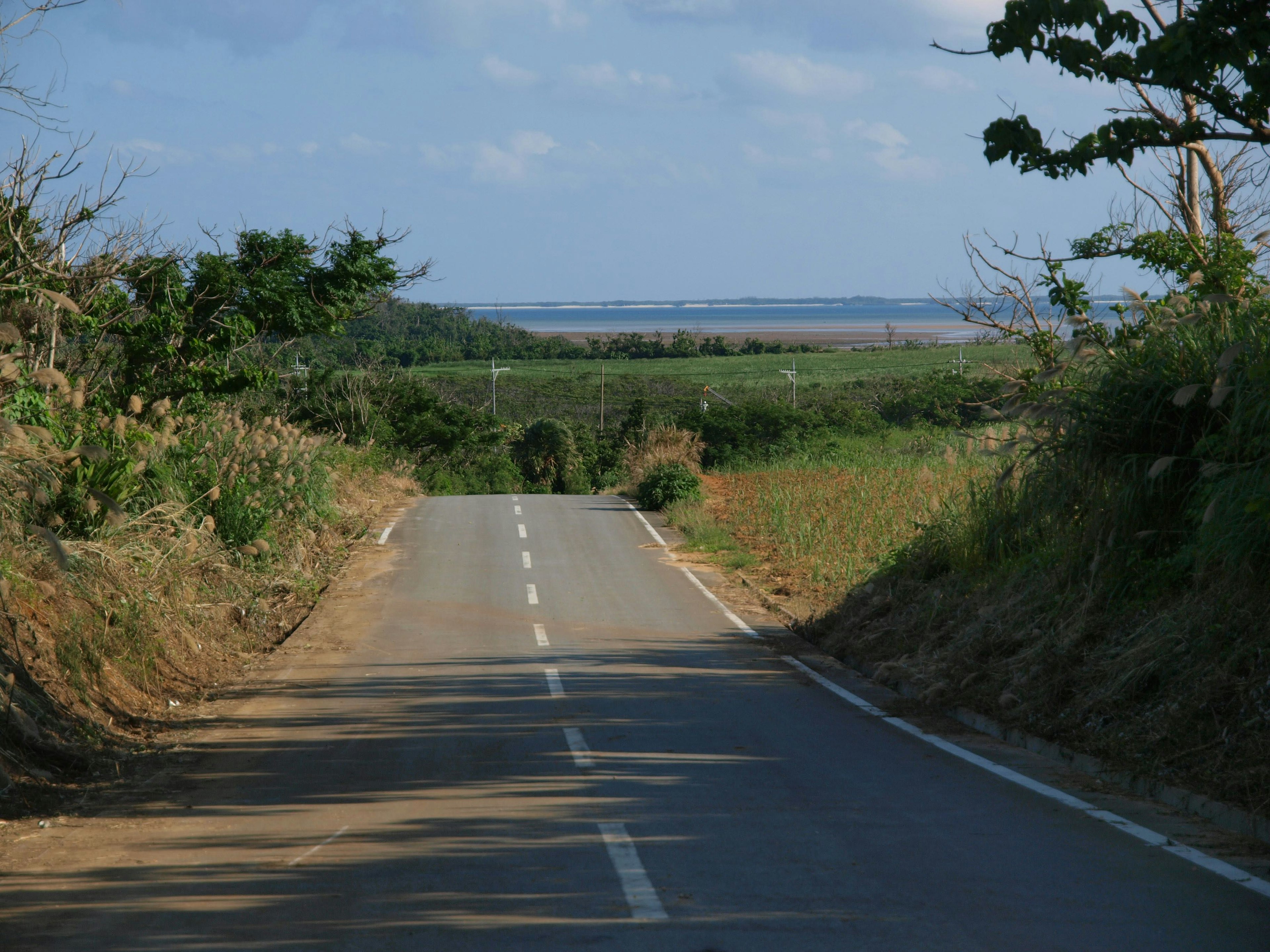 Scenic rural road surrounded by green hills