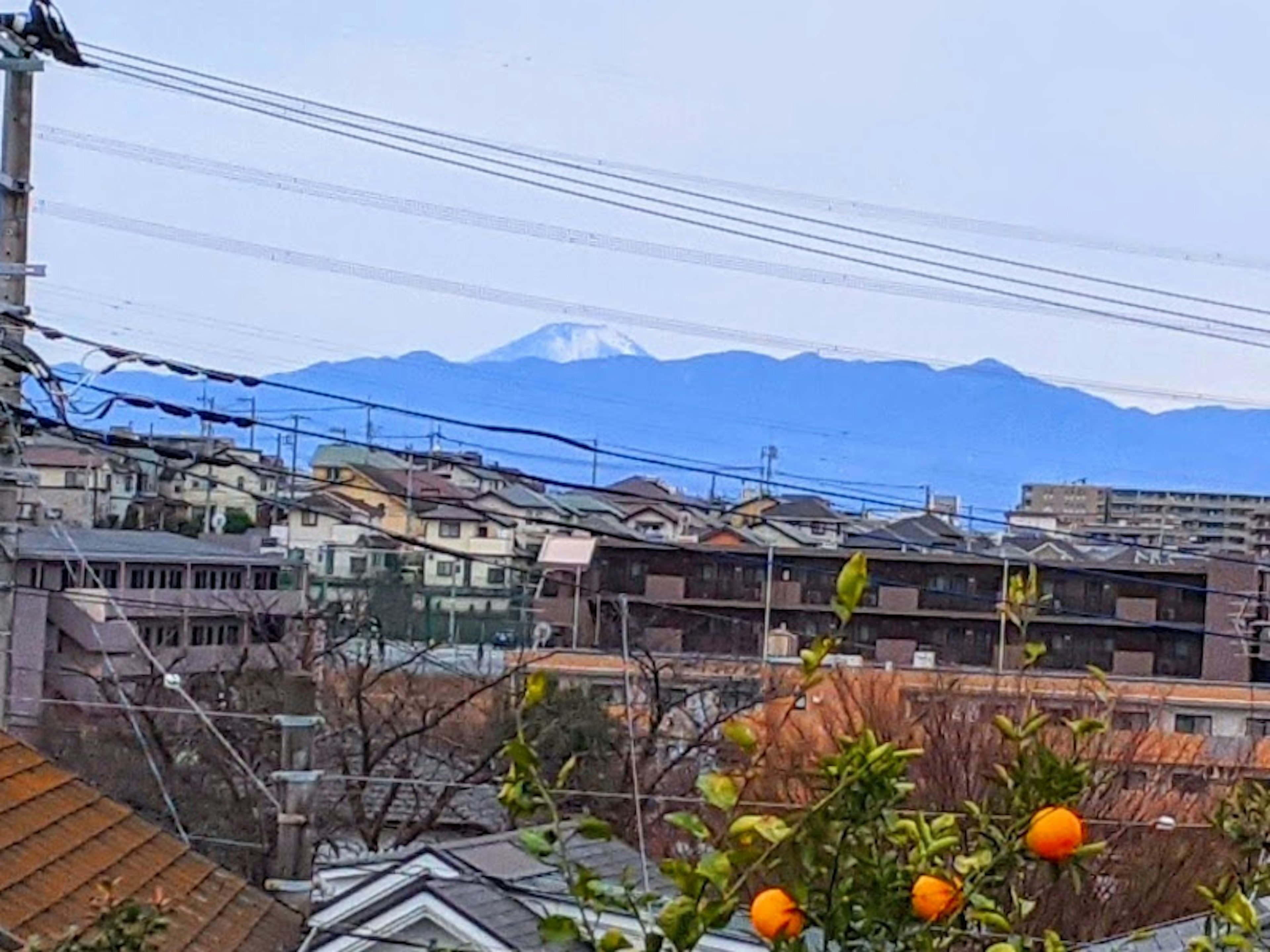 Image d'un paysage montrant des montagnes et une ville avec des fruits oranges au premier plan