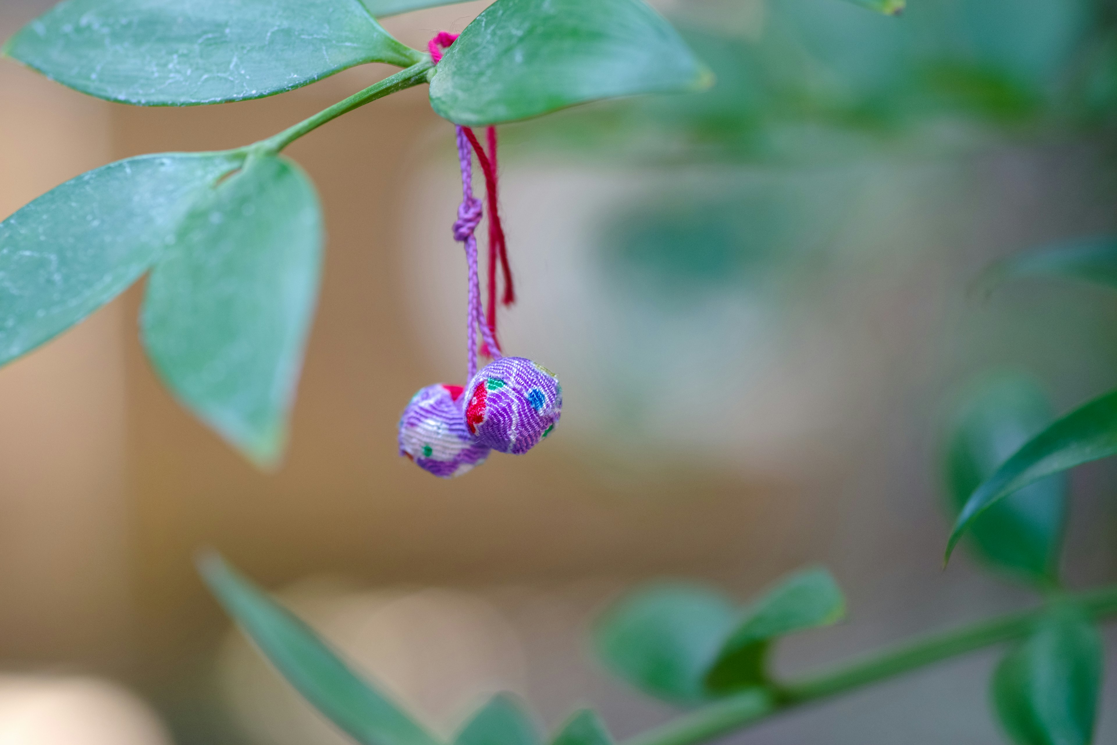 Purple berries hanging between green leaves