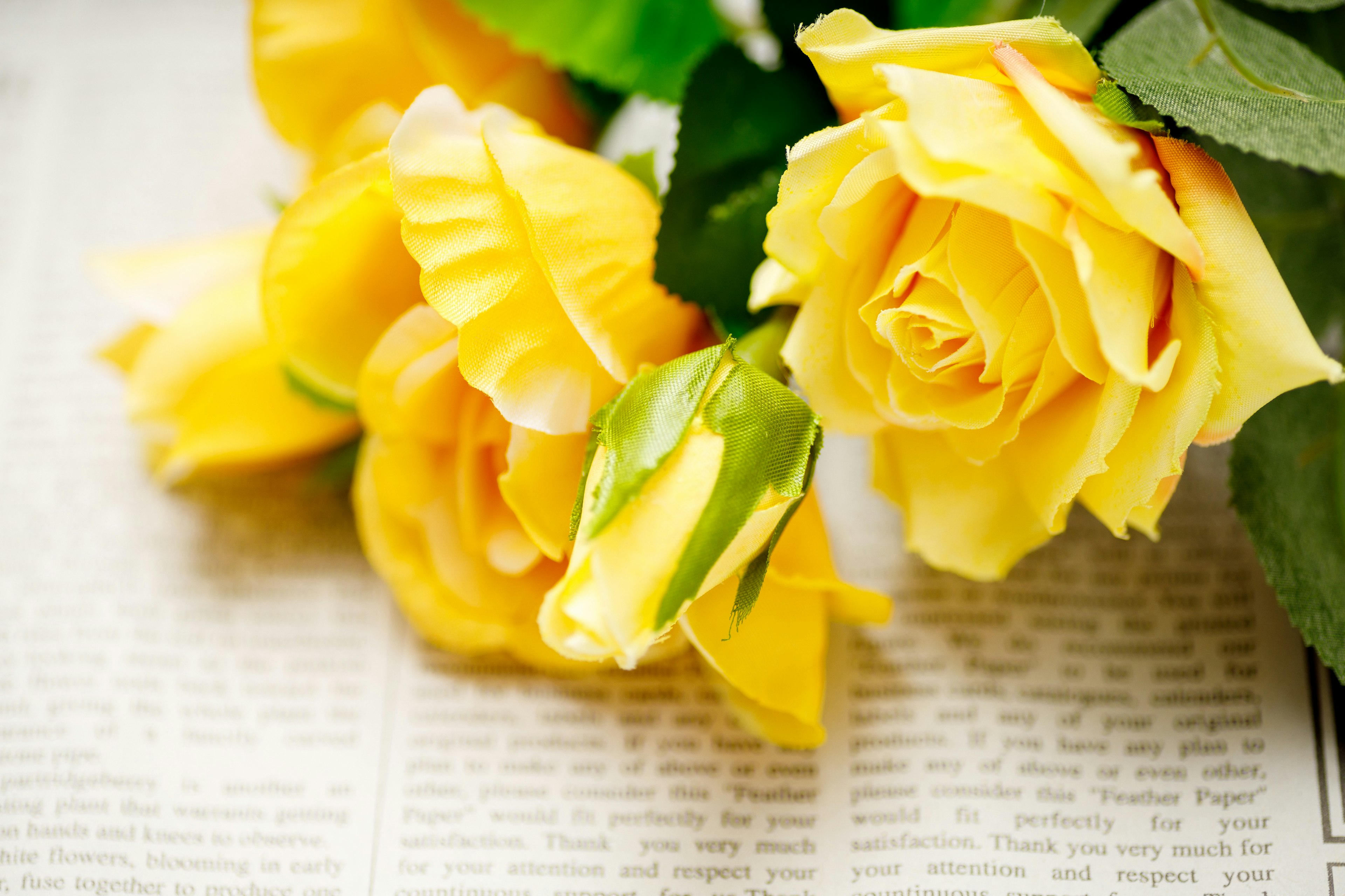 Belle image de roses jaunes posées sur un journal