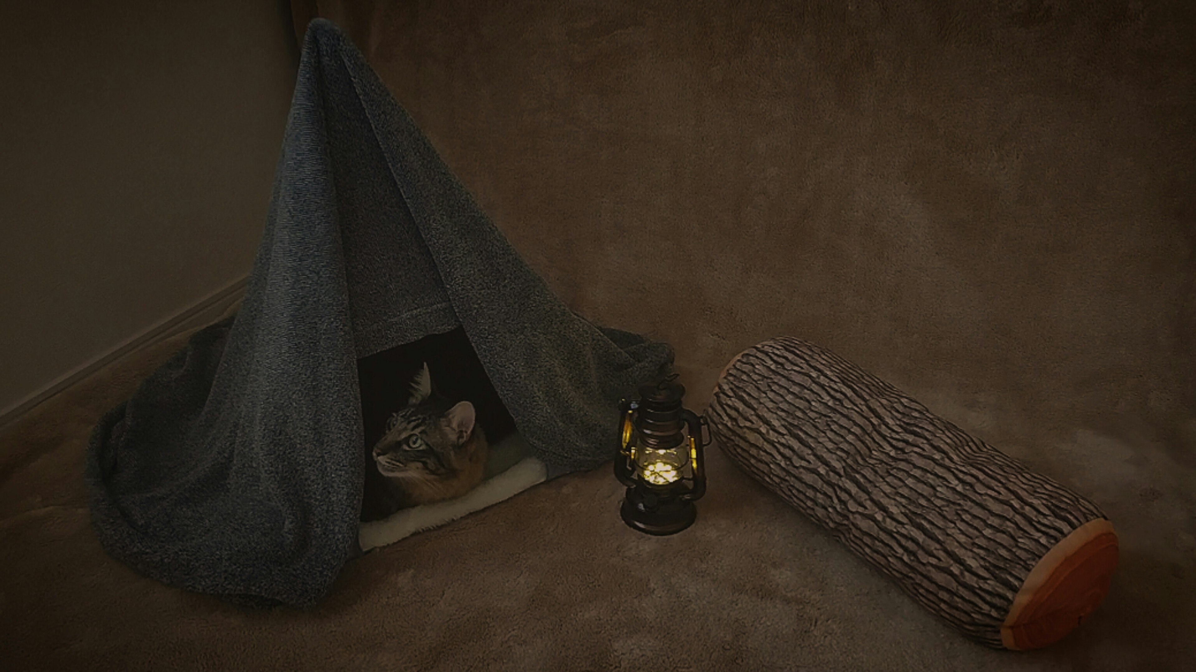 A small tent made of a blanket with a dog hiding inside a warm-colored lantern and a log-patterned cushion nearby