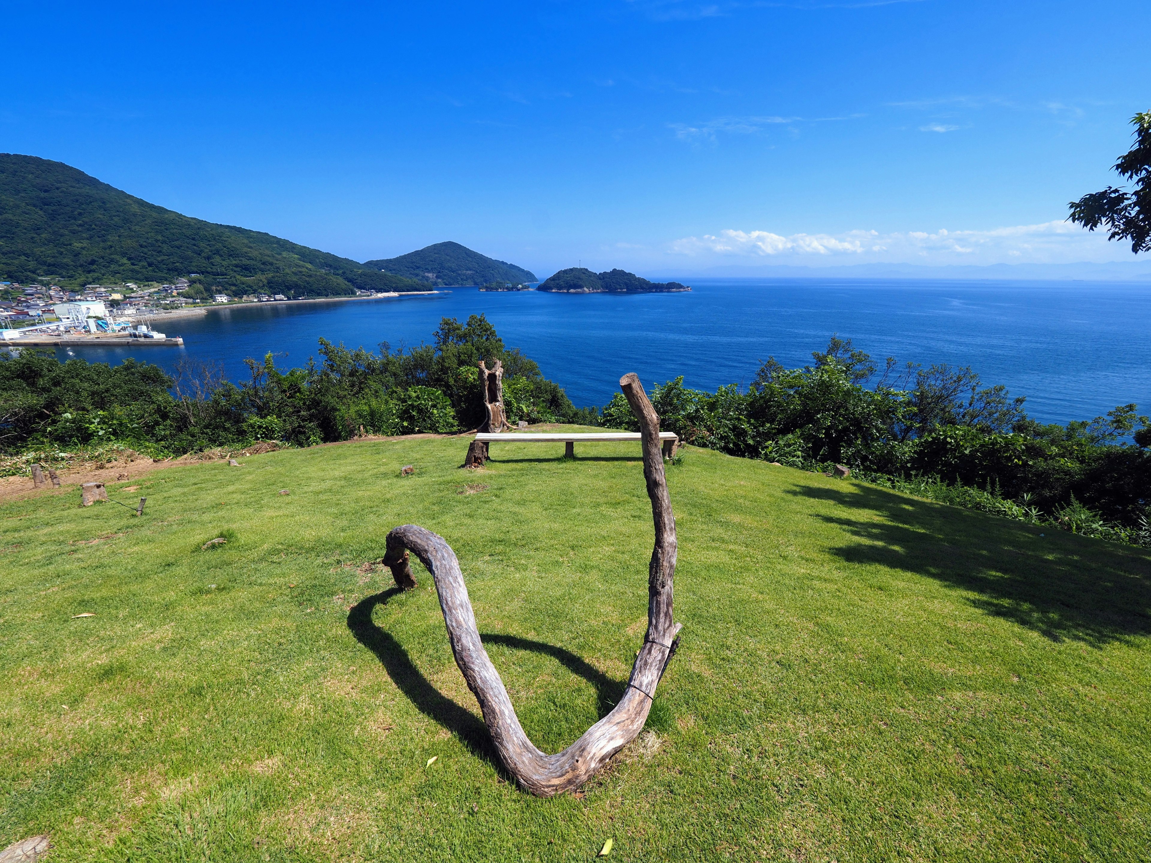 Escultura de madera única en una colina verde con vista al mar