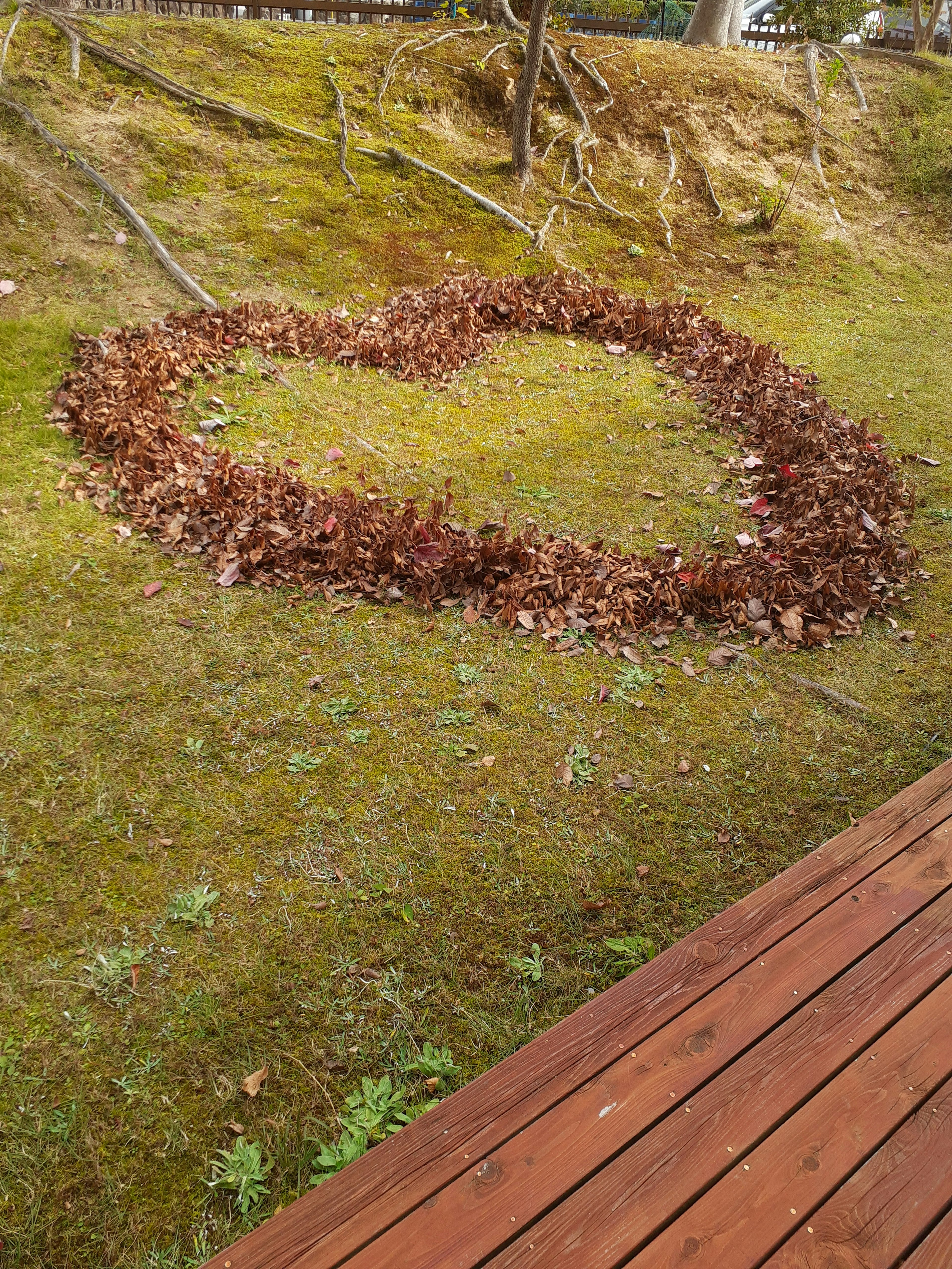 Art en forme de cœur fait de feuilles dans un jardin