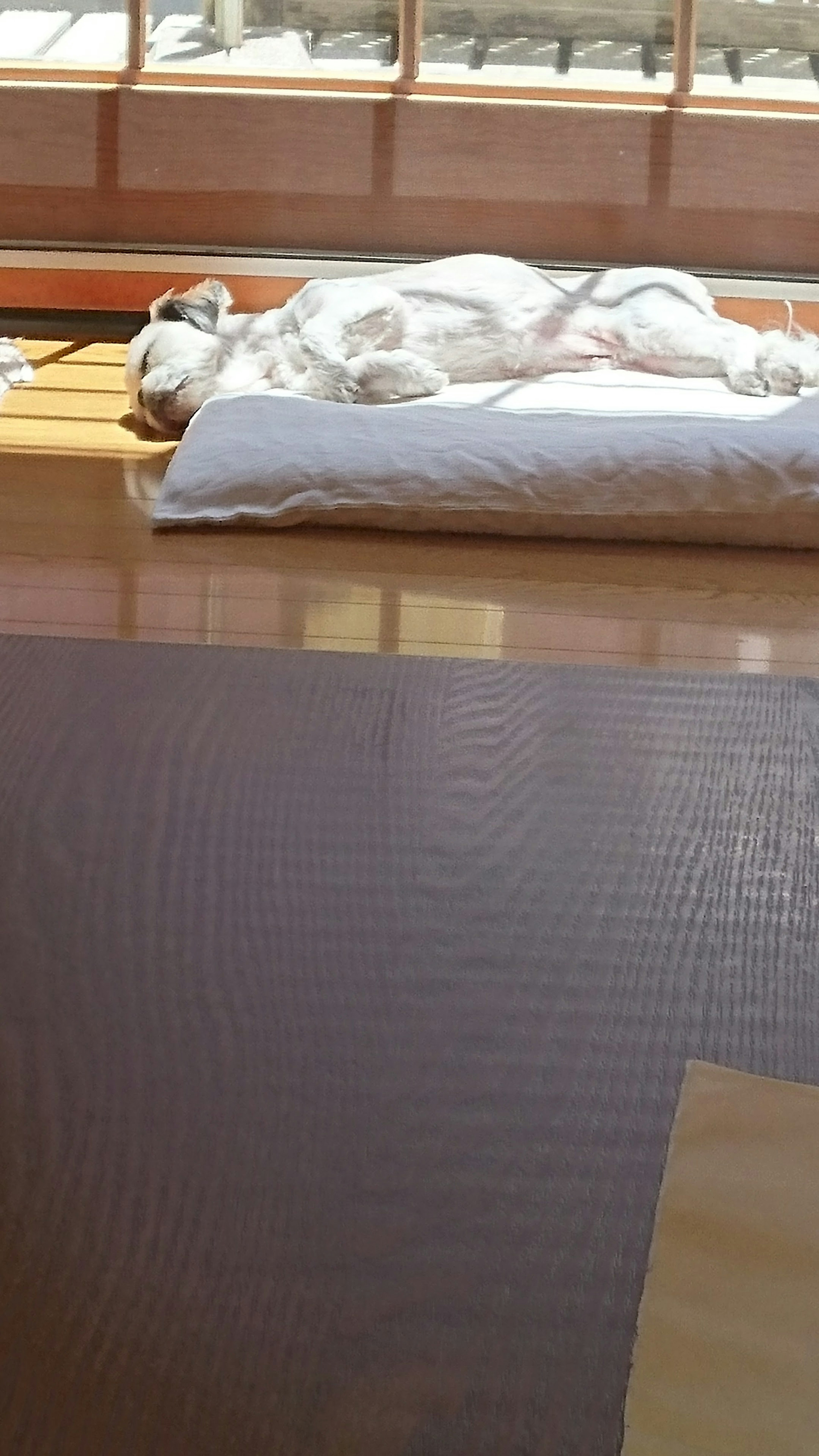 Eine Person schläft auf einem weißen Futon