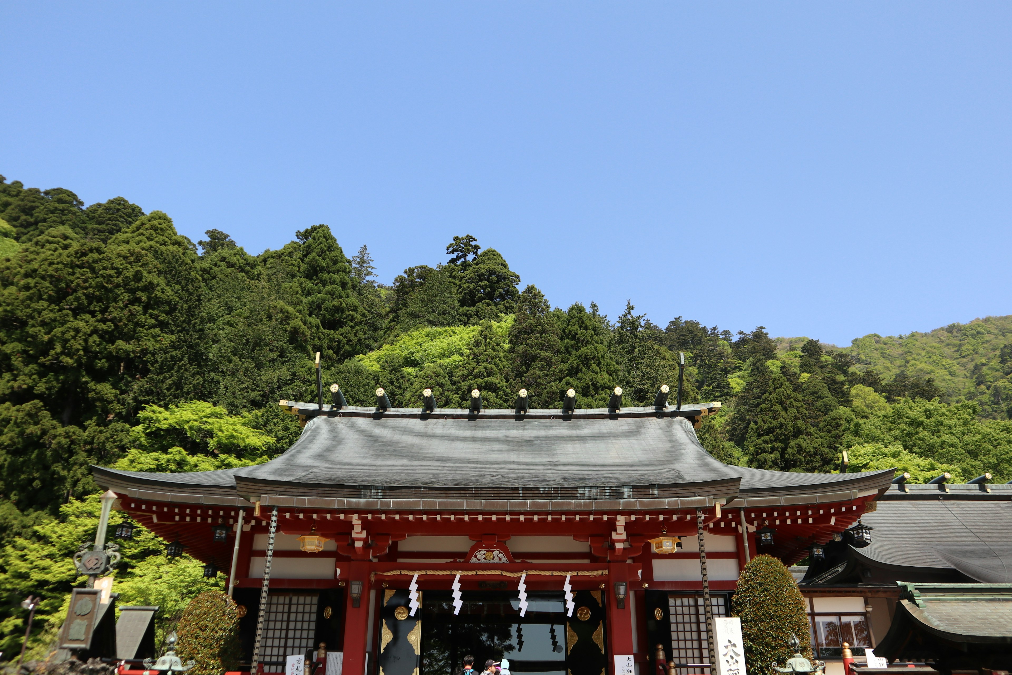 전통 신사 건축과 푸르른 산의 배경