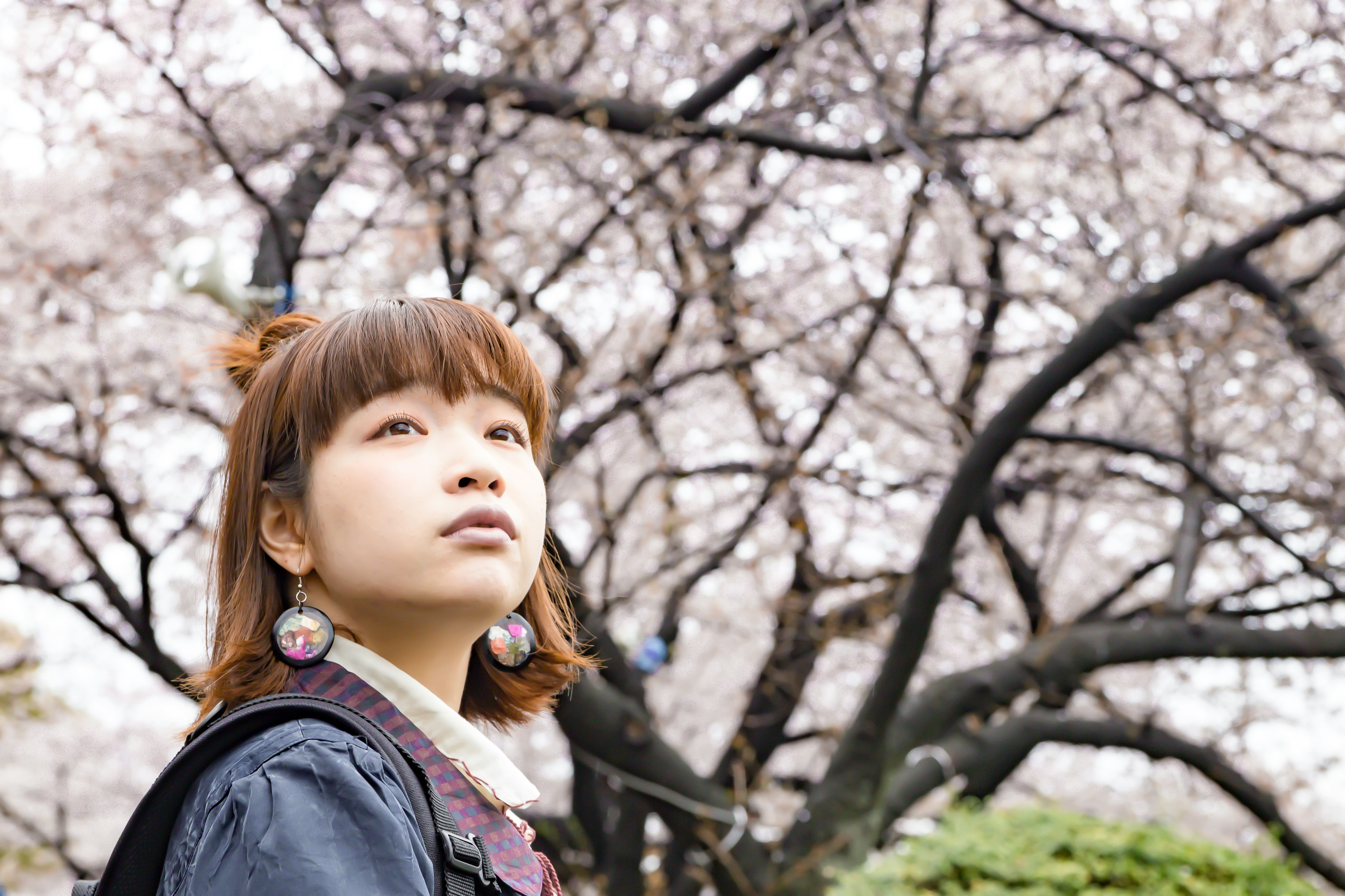 桜の木の下で空を見上げる女性のポートレート