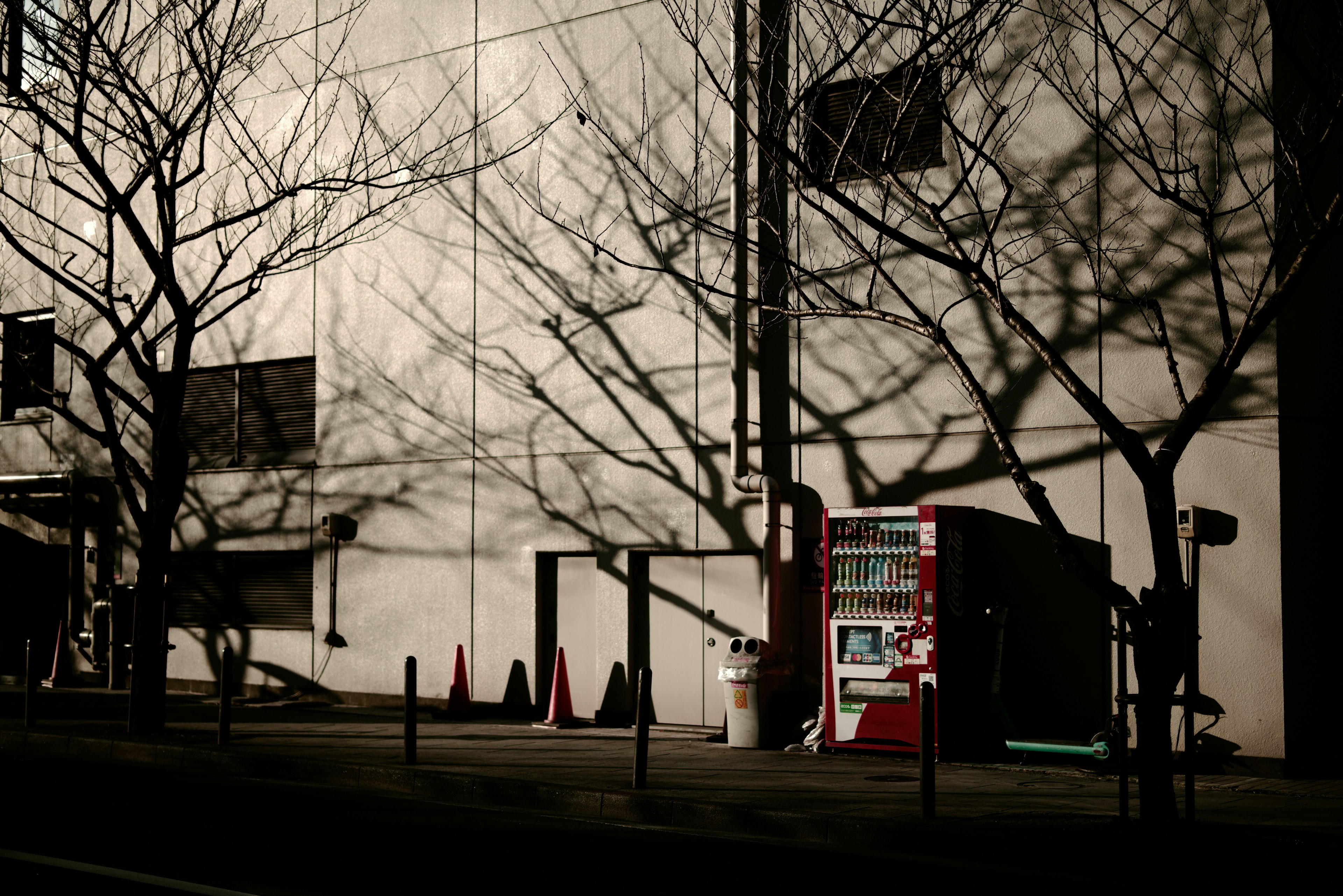 A scene featuring a vending machine and bare trees casting shadows on a white wall