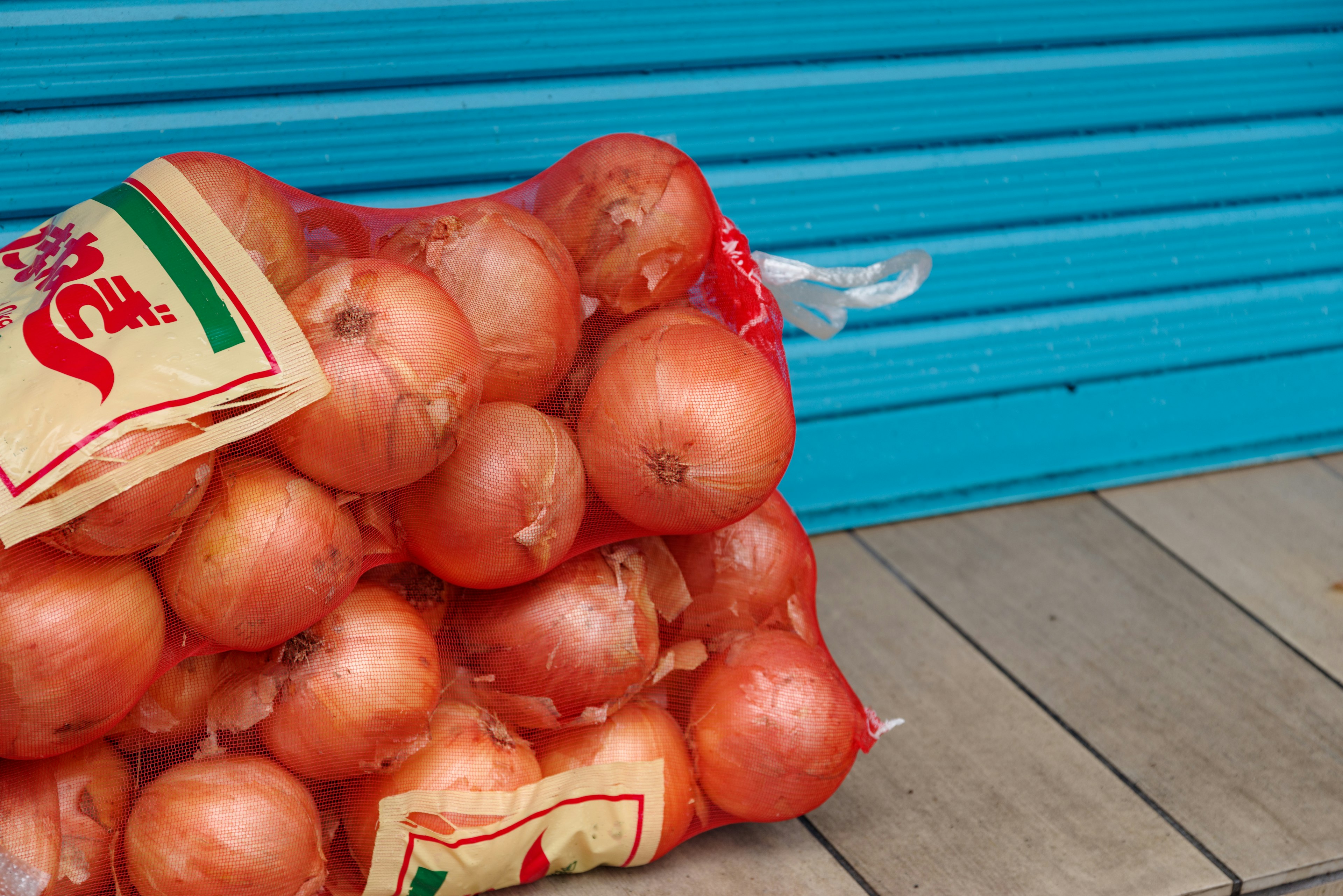 Bag of onions placed in front of a blue background