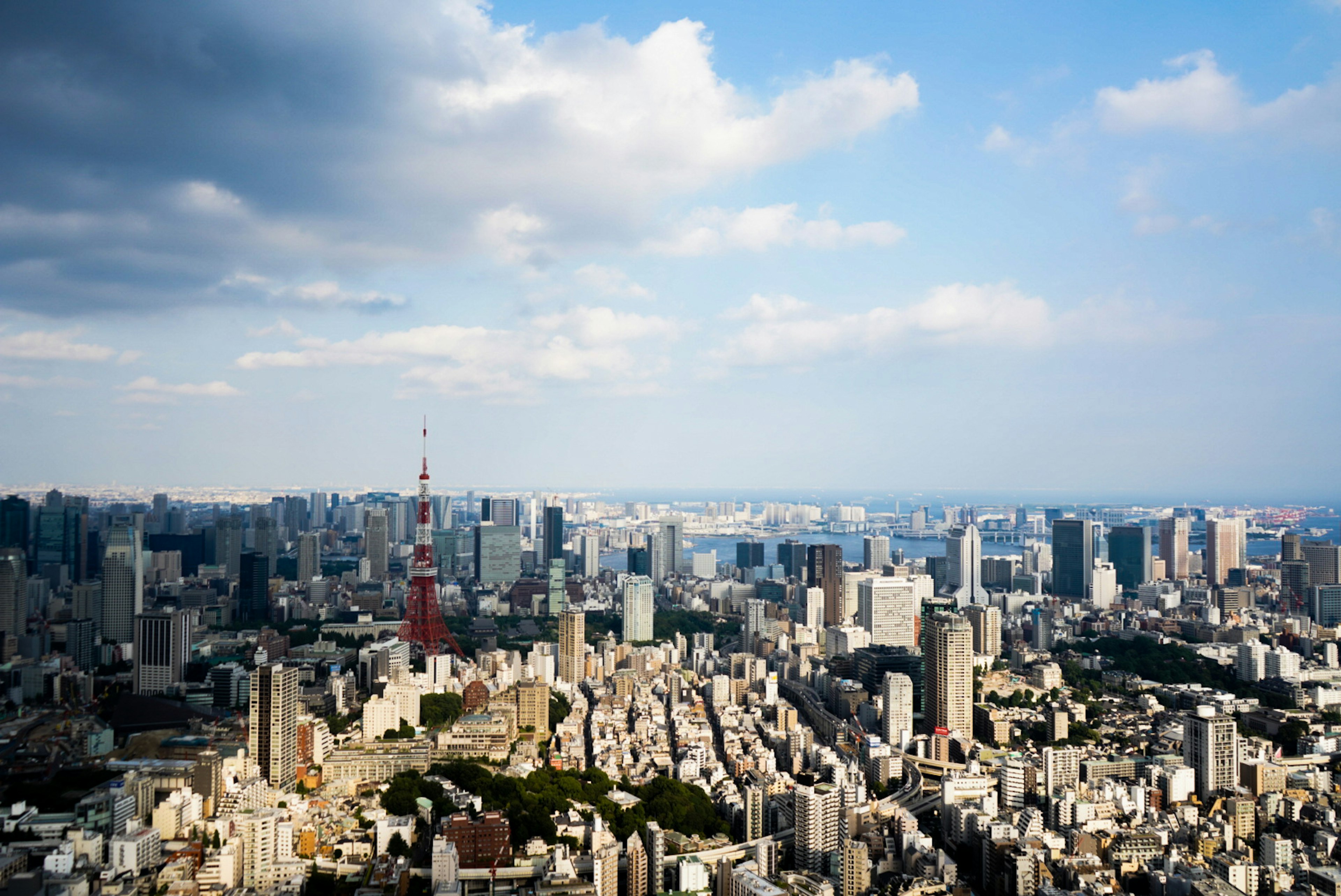 東京の高層ビルと東京タワーの景観