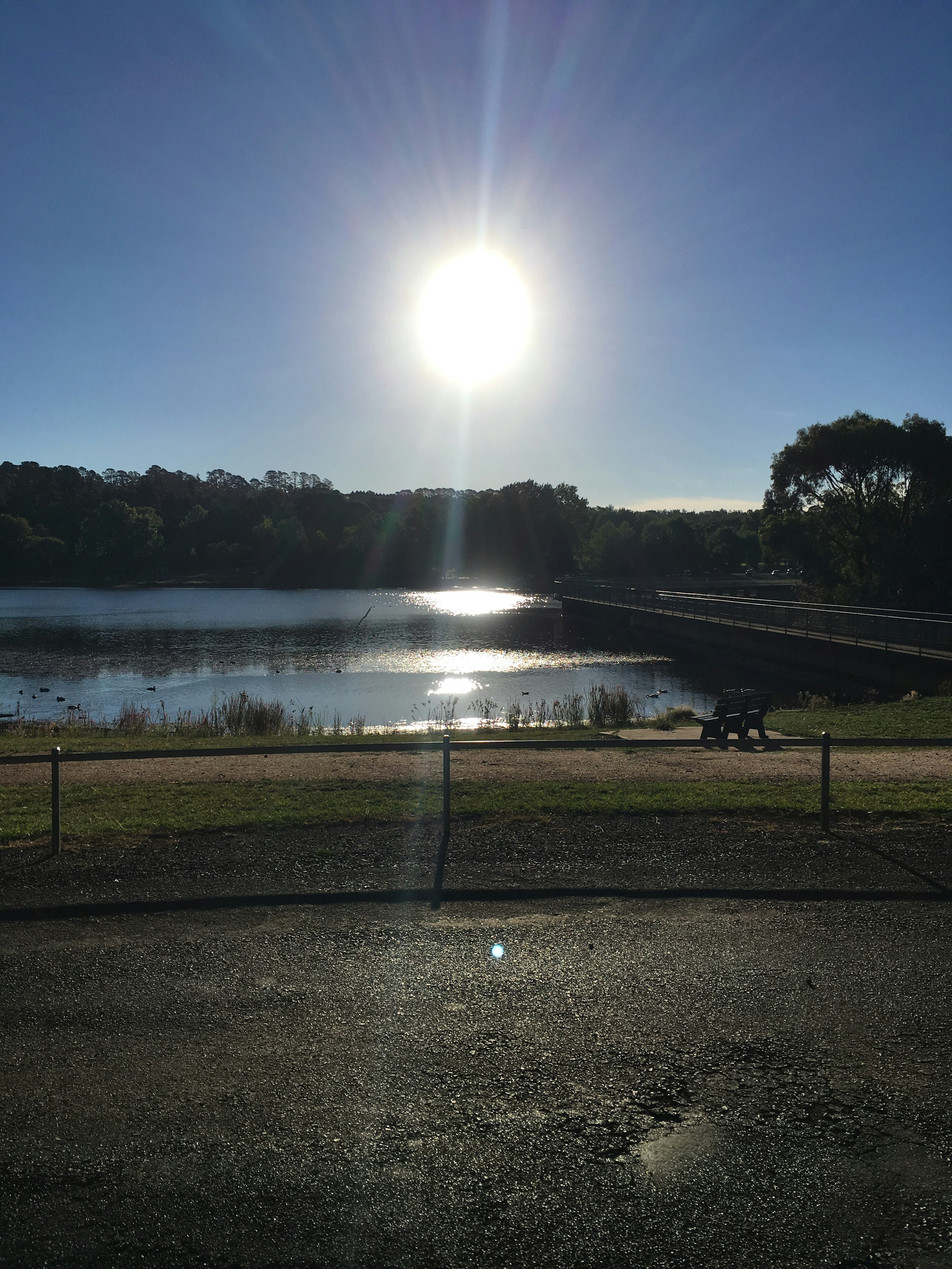 Paisaje con un sol brillante reflejándose en un lago