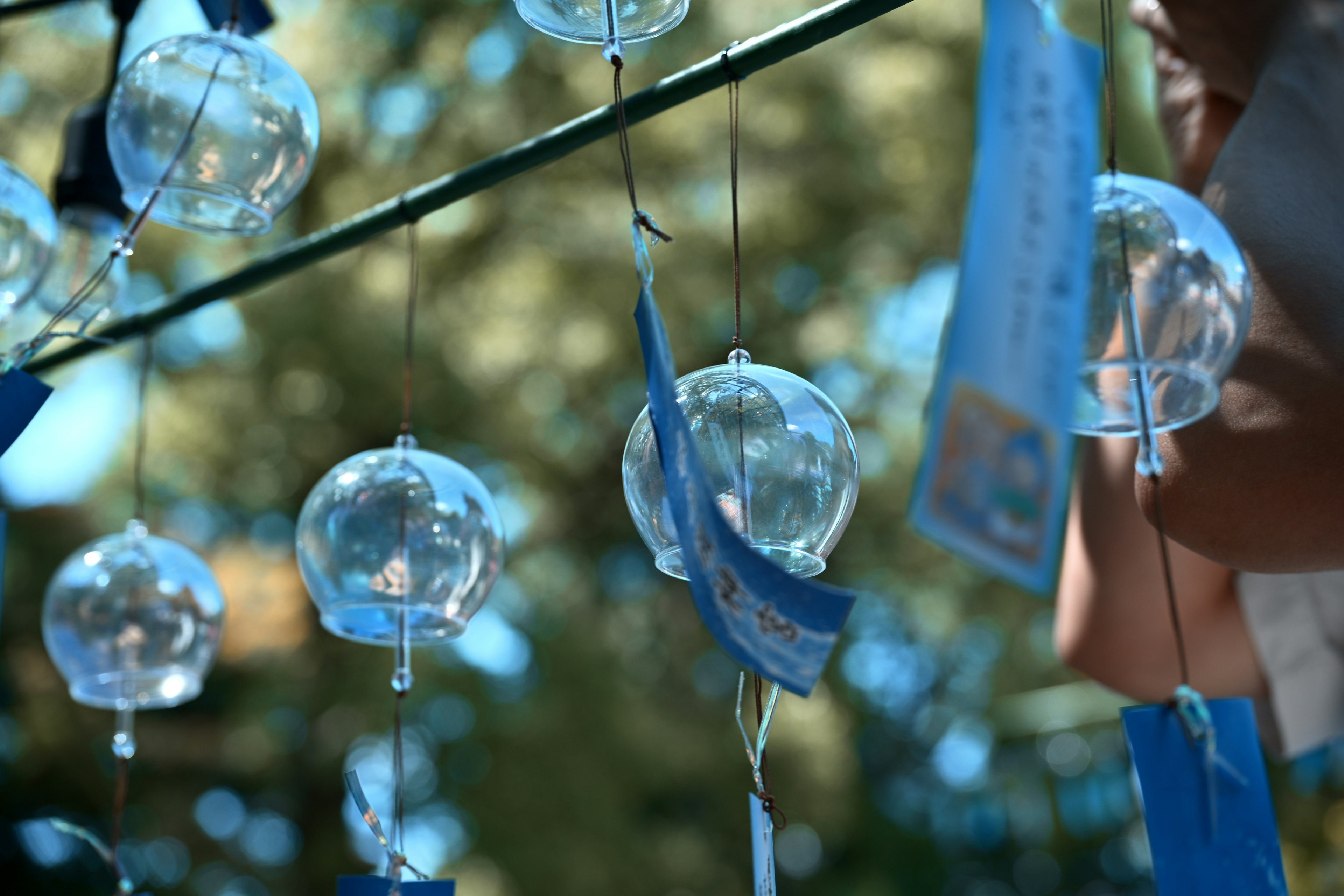 Wind chimes hanging under a blue sky clear glass chimes and blue tanzaku visible