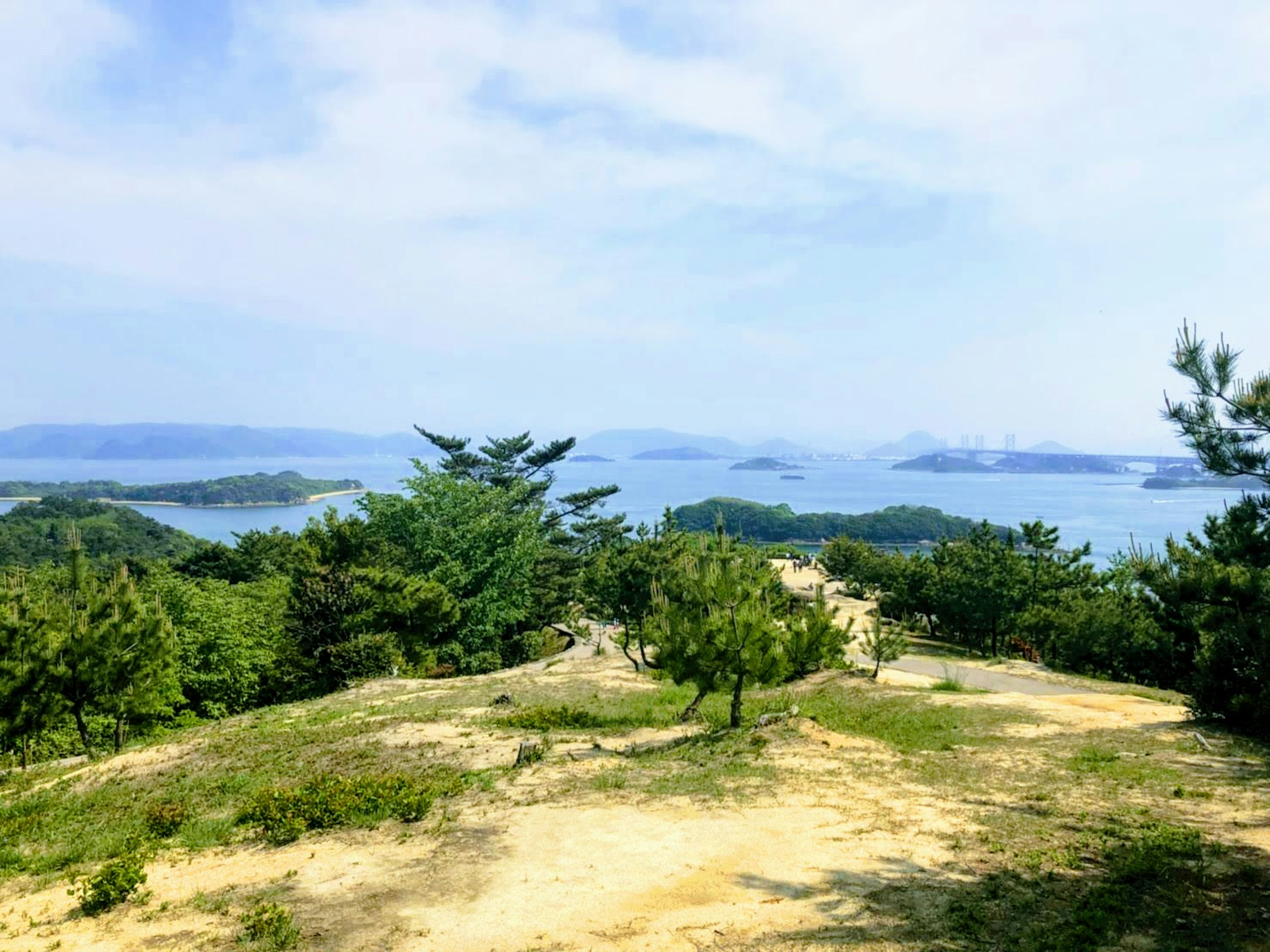 緑の木々と青い海に囲まれた風景の写真