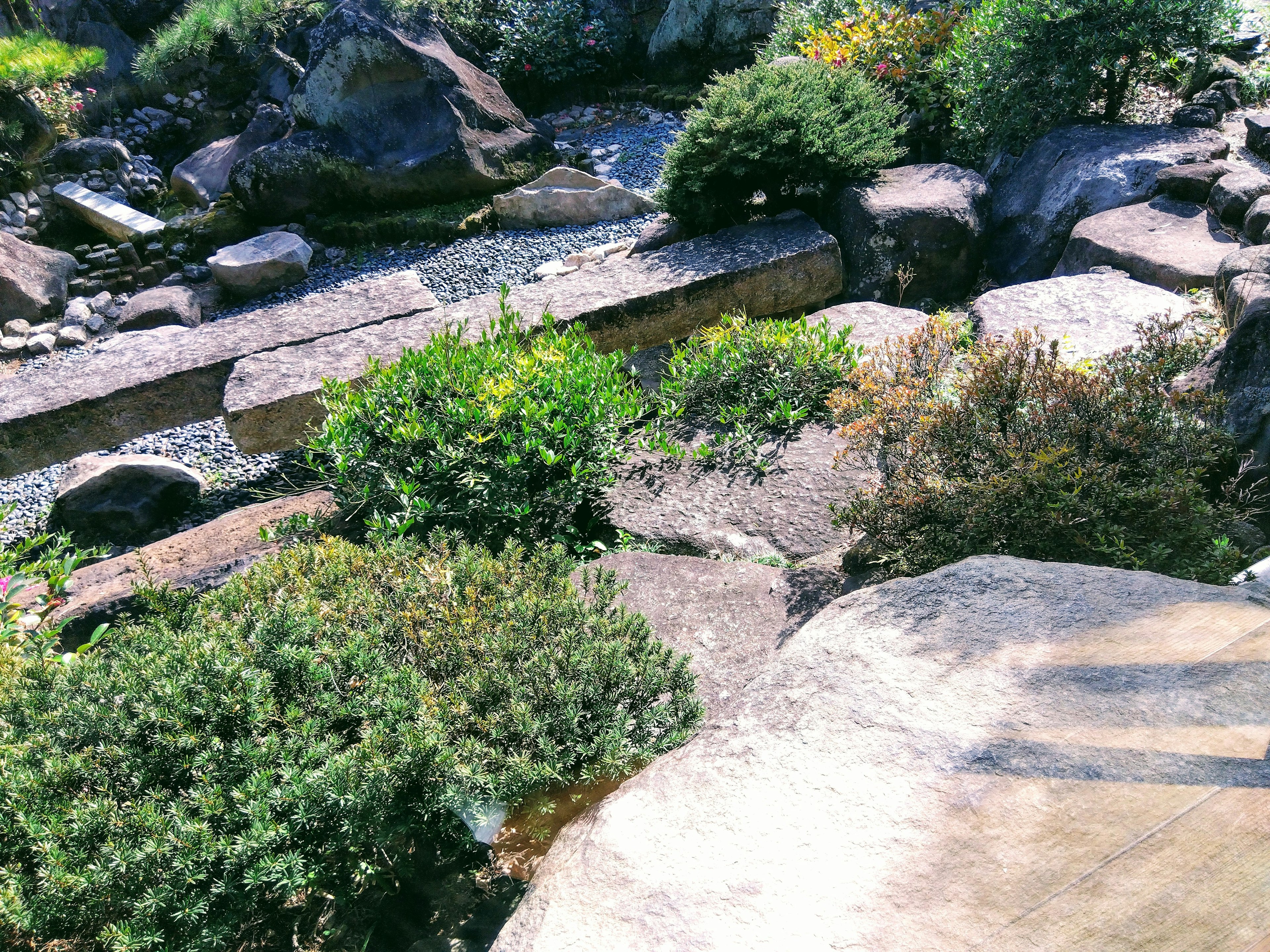 岩と緑の植物が混在する自然の風景