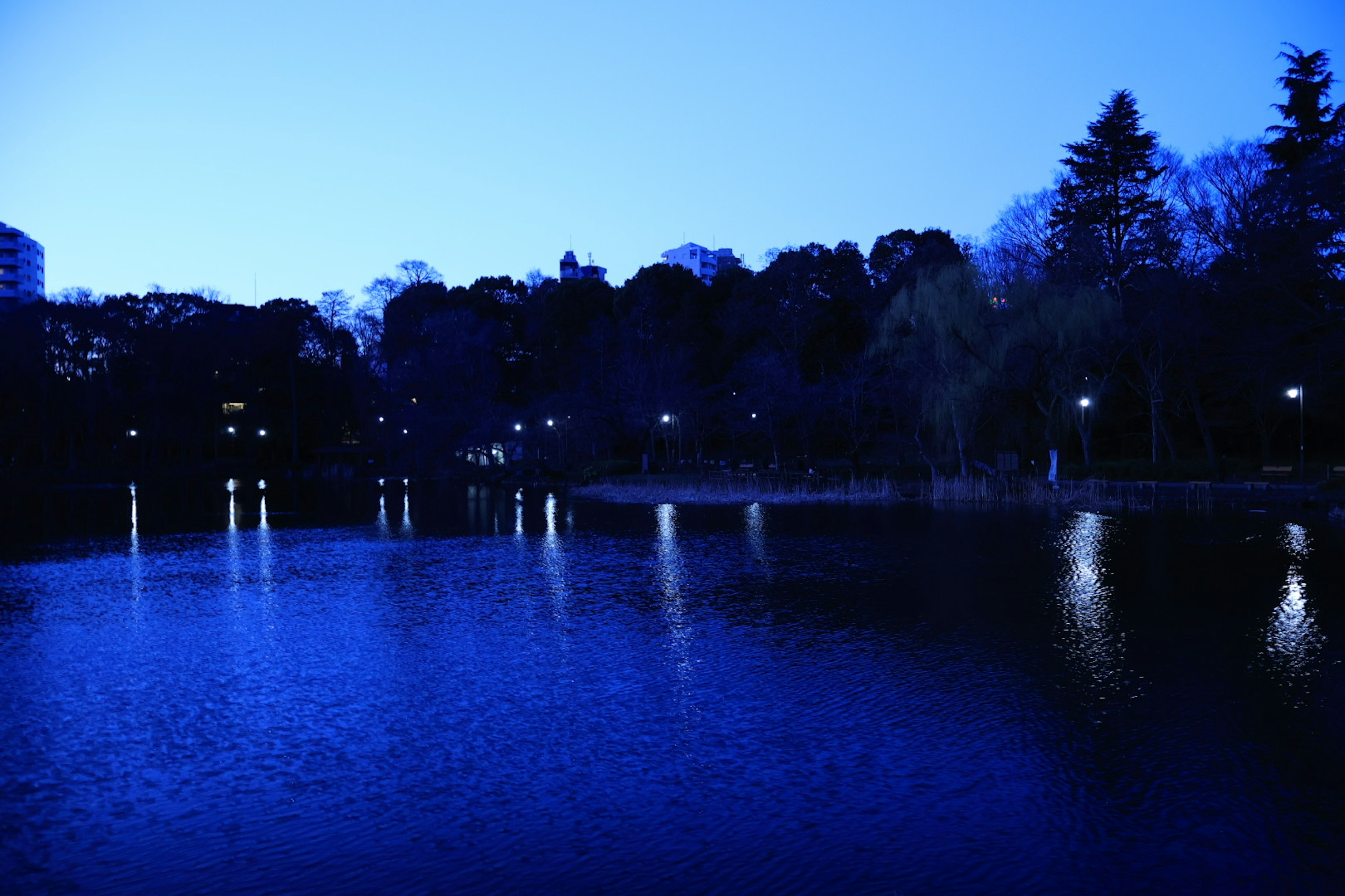 青い夕暮れの公園の湖に映る街灯の光