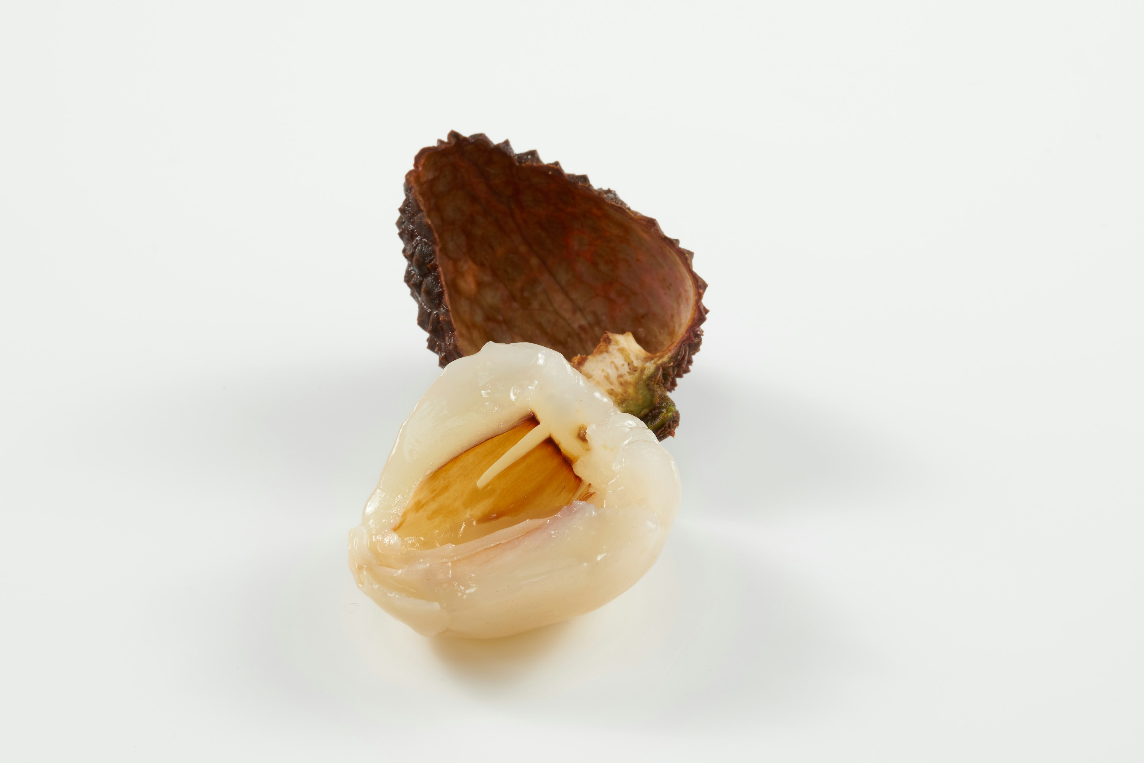 Cross-section of a fruit with white flesh and brown shell