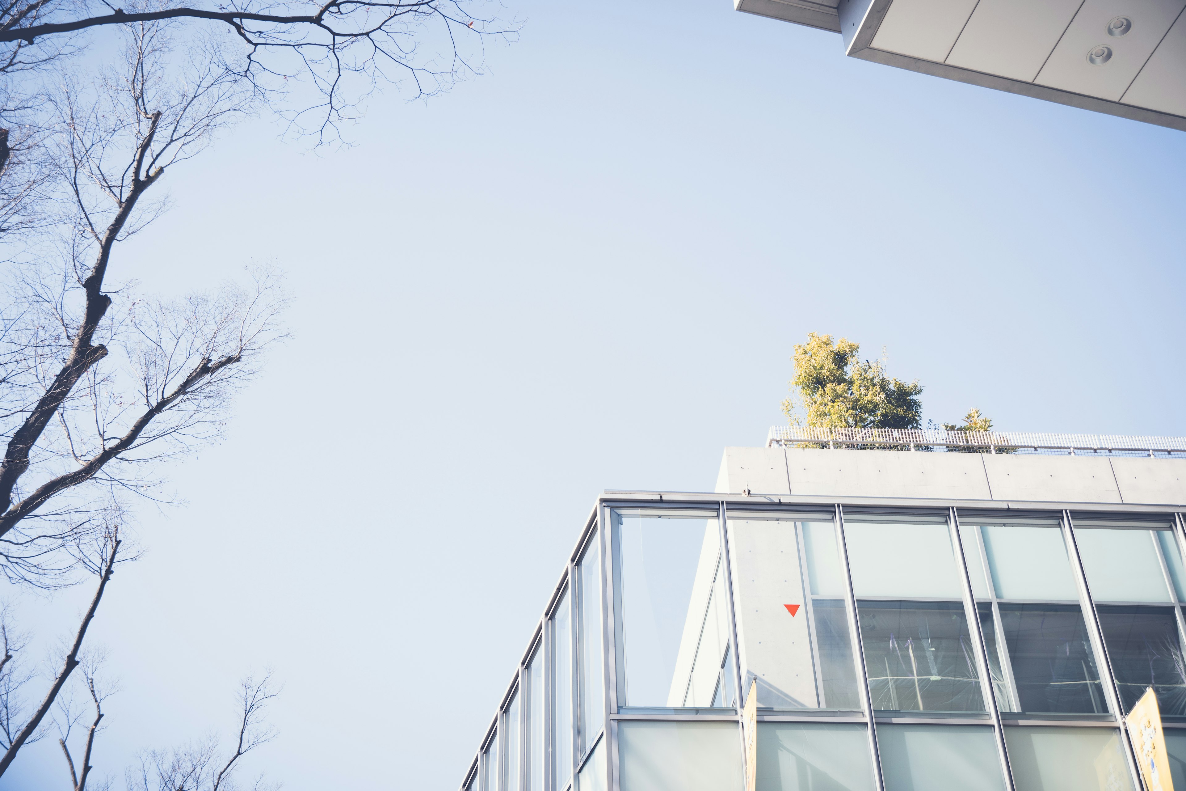 View of a glass building with plants on the roof