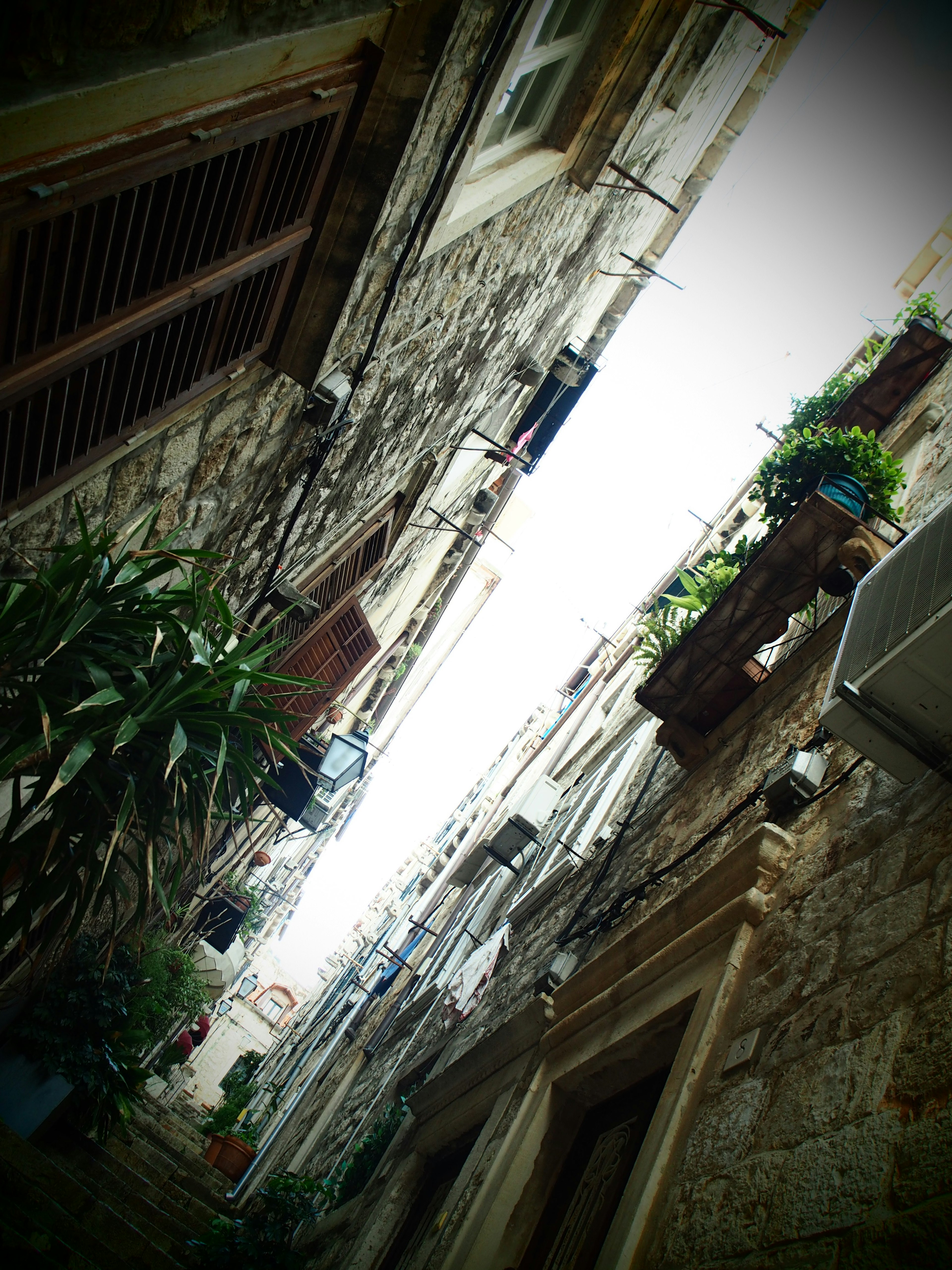 Narrow alley en pierre décorée de plantes et de lumière vive