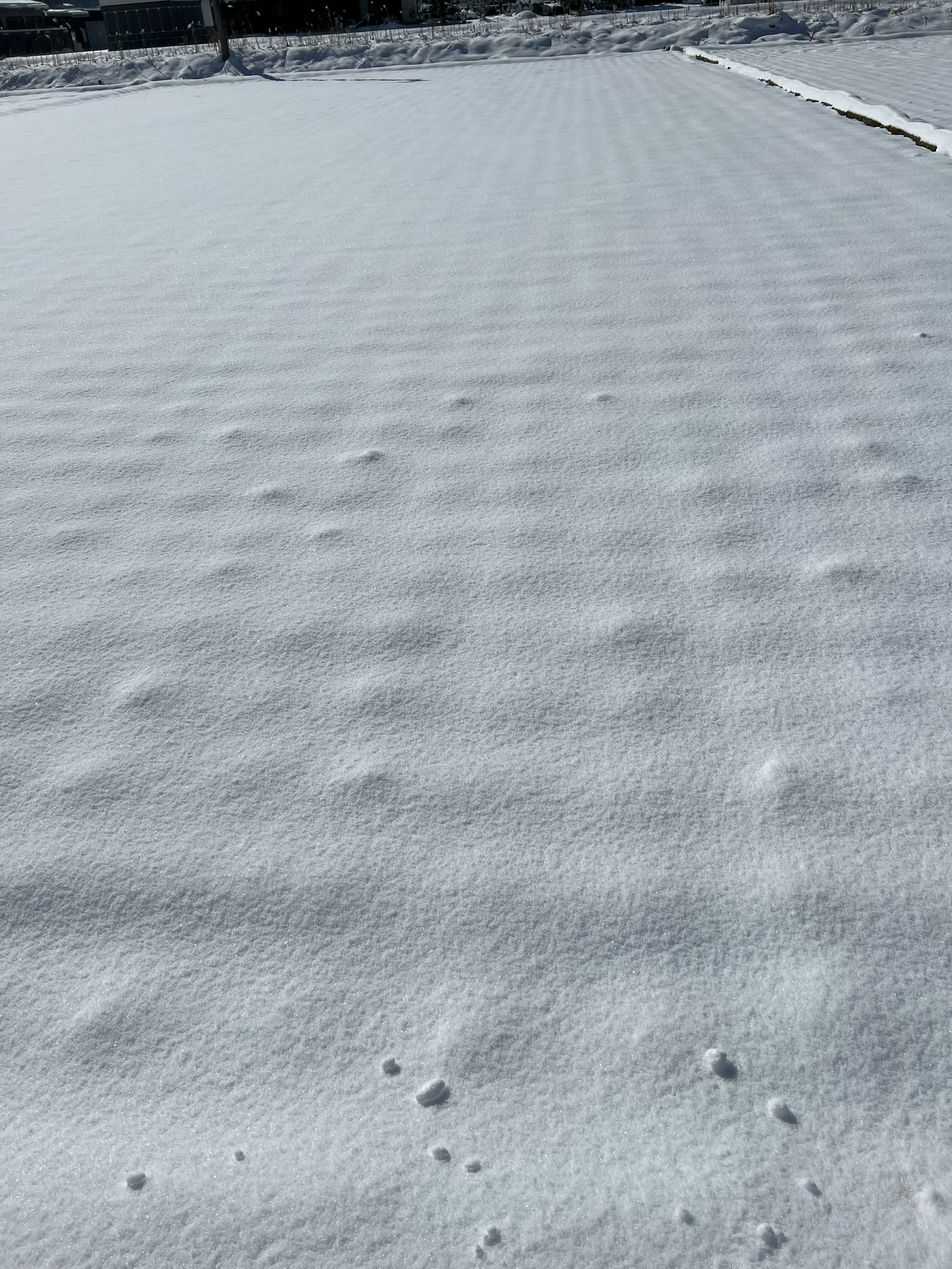 Flacher, schneebedeckter Boden mit subtilen Wellen und Mustern