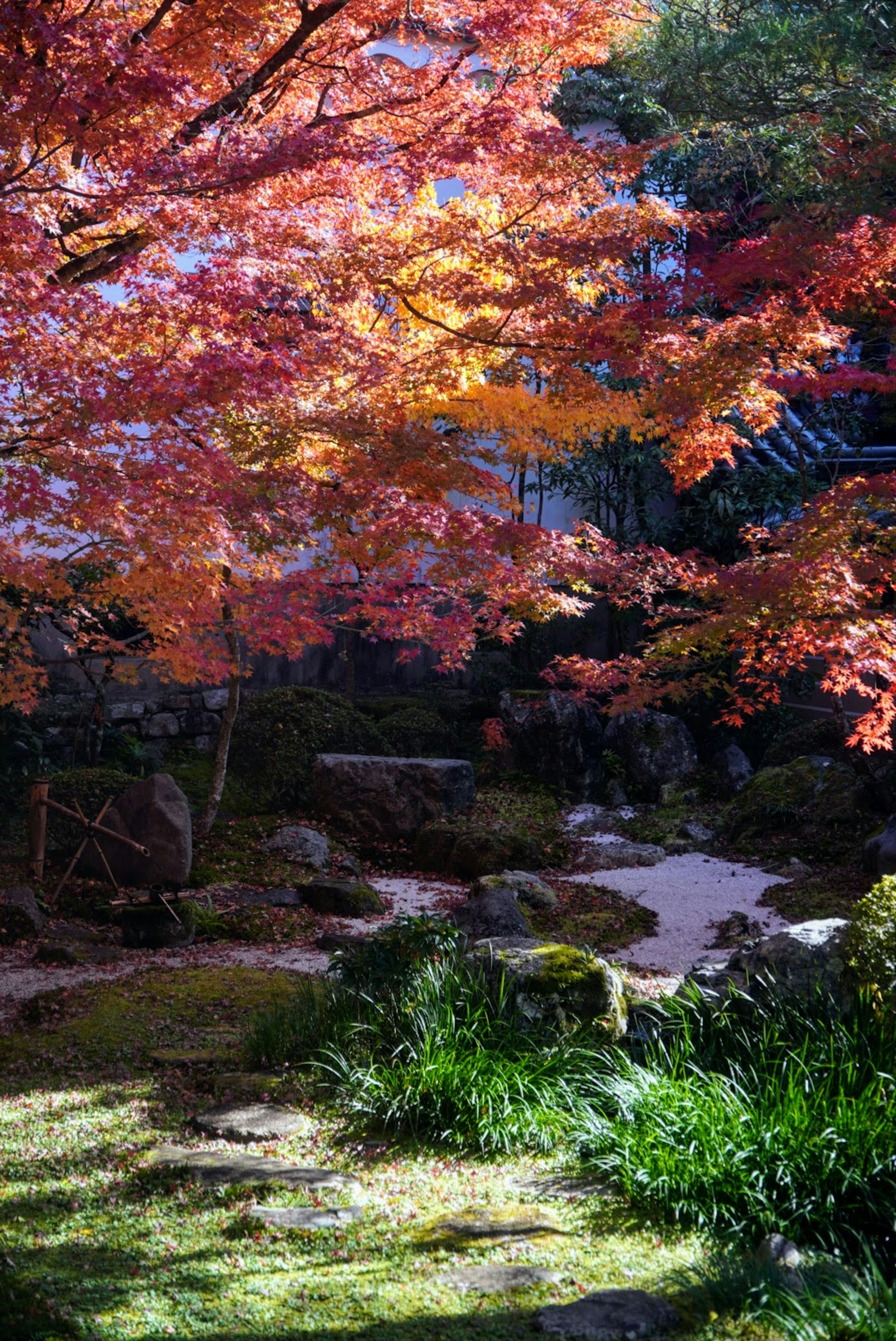 紅葉した木々と緑の草が調和した静かな庭の風景