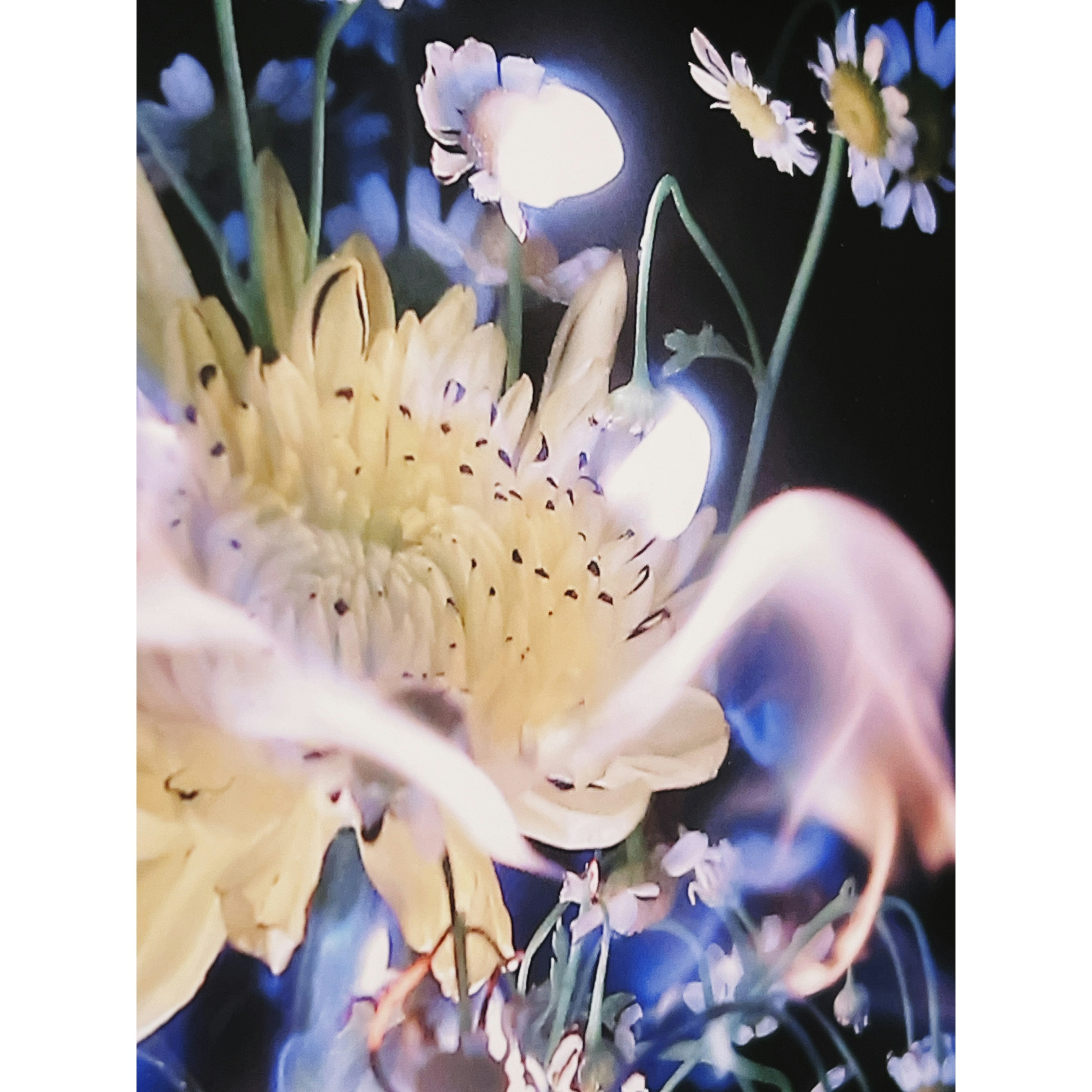 A vibrant mix of flowers creating a dreamy and ethereal atmosphere