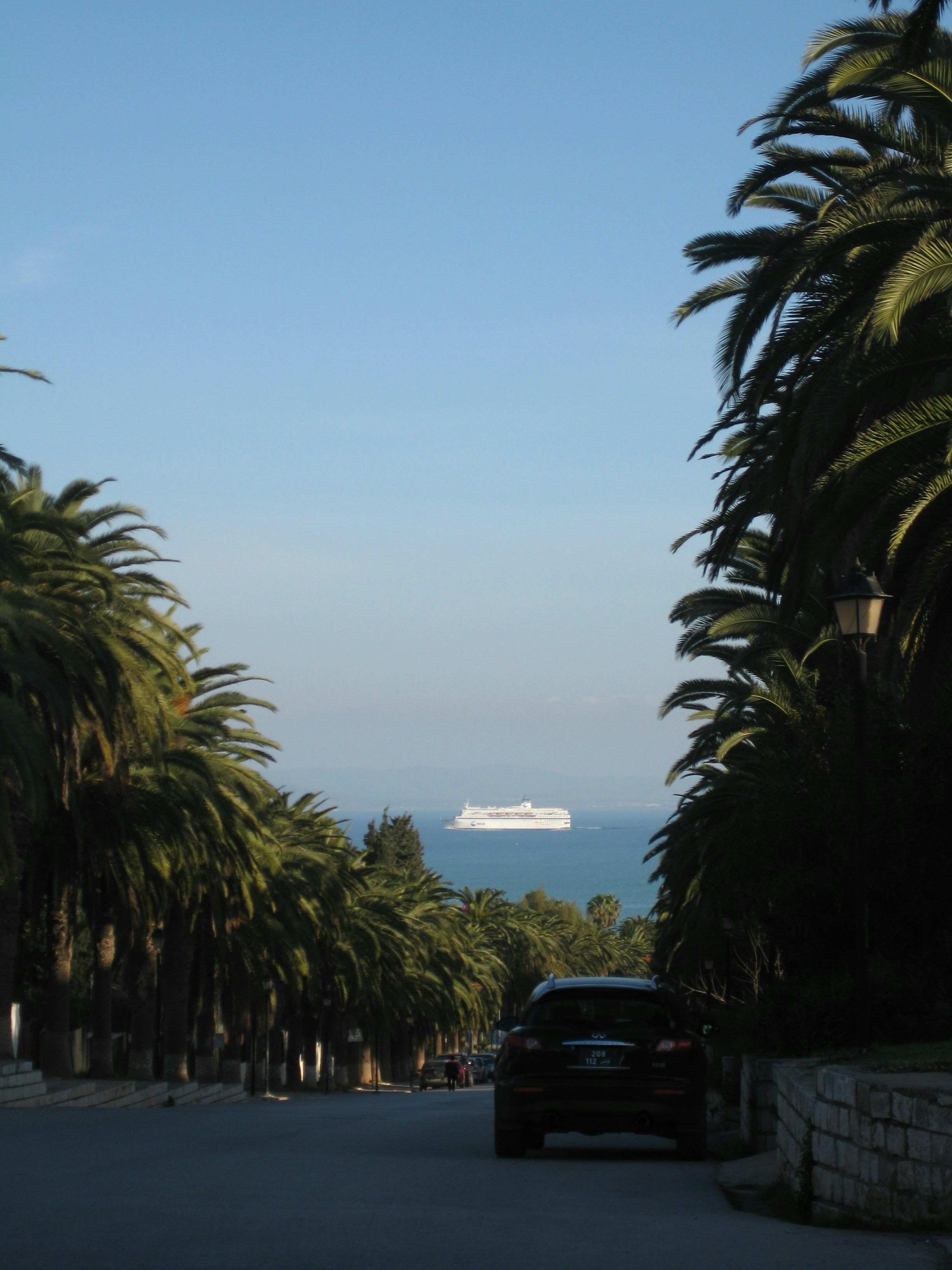 Vista dell'oceano e di una nave bianca incorniciata da palme lungo la strada