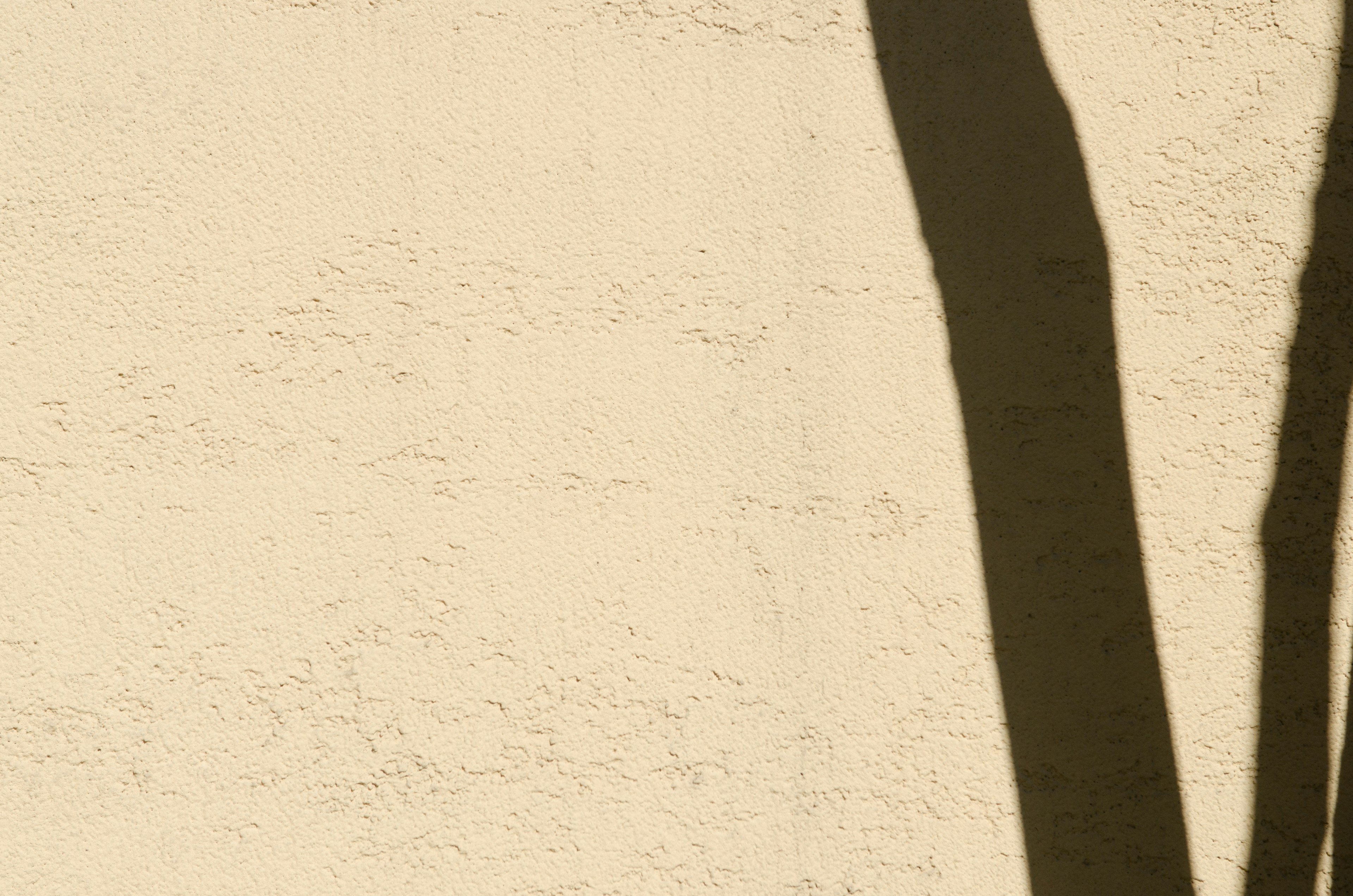 Ombra di un albero proiettata su un muro texturizzato