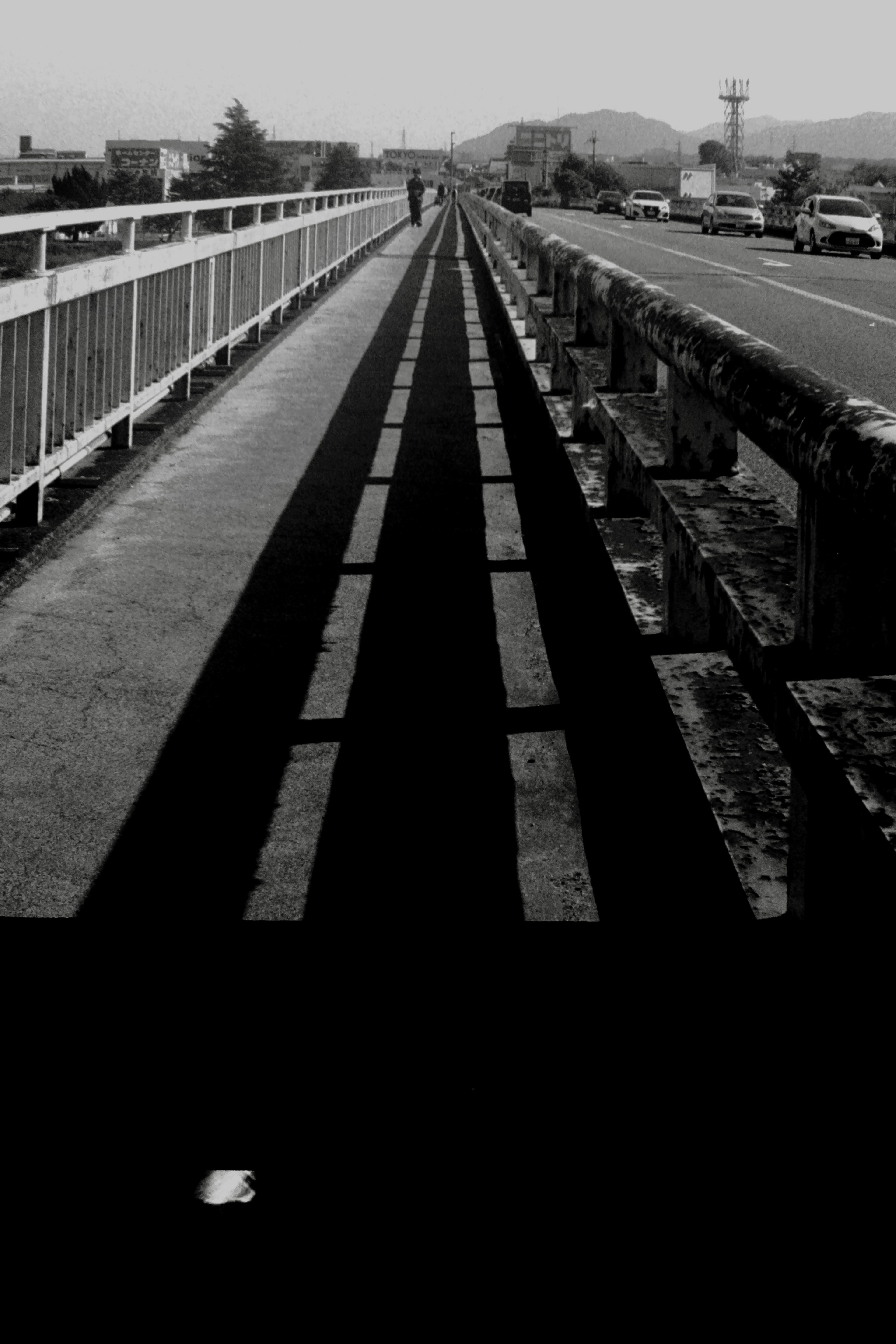 Langer Weg auf einer monochromen Brücke mit Landschaften auf beiden Seiten