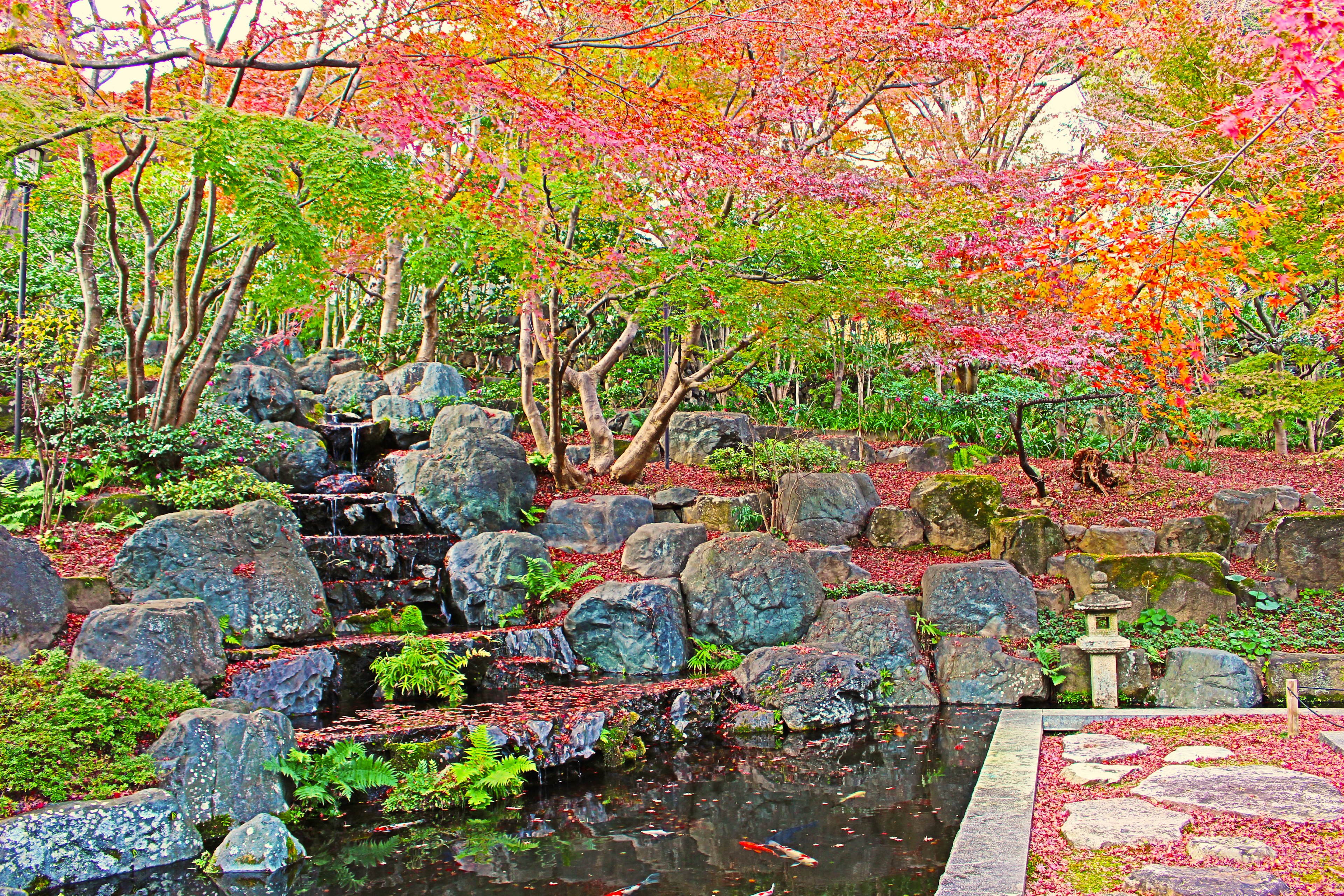 Ruhiger Garten mit Wasserfall und lebhaften Herbstblättern